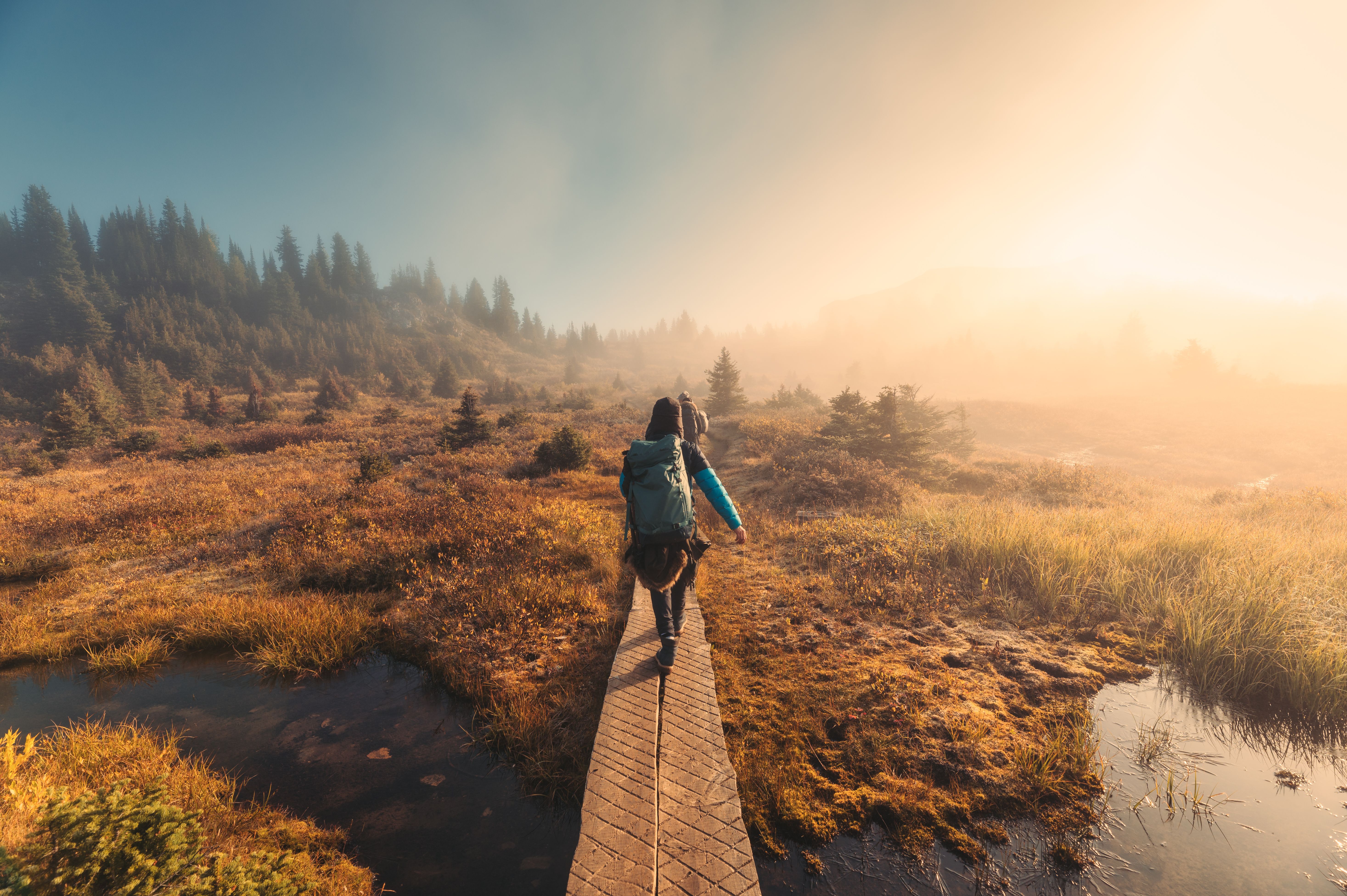 Group of hiker trekking in autumn forest with sunlight shining at national park