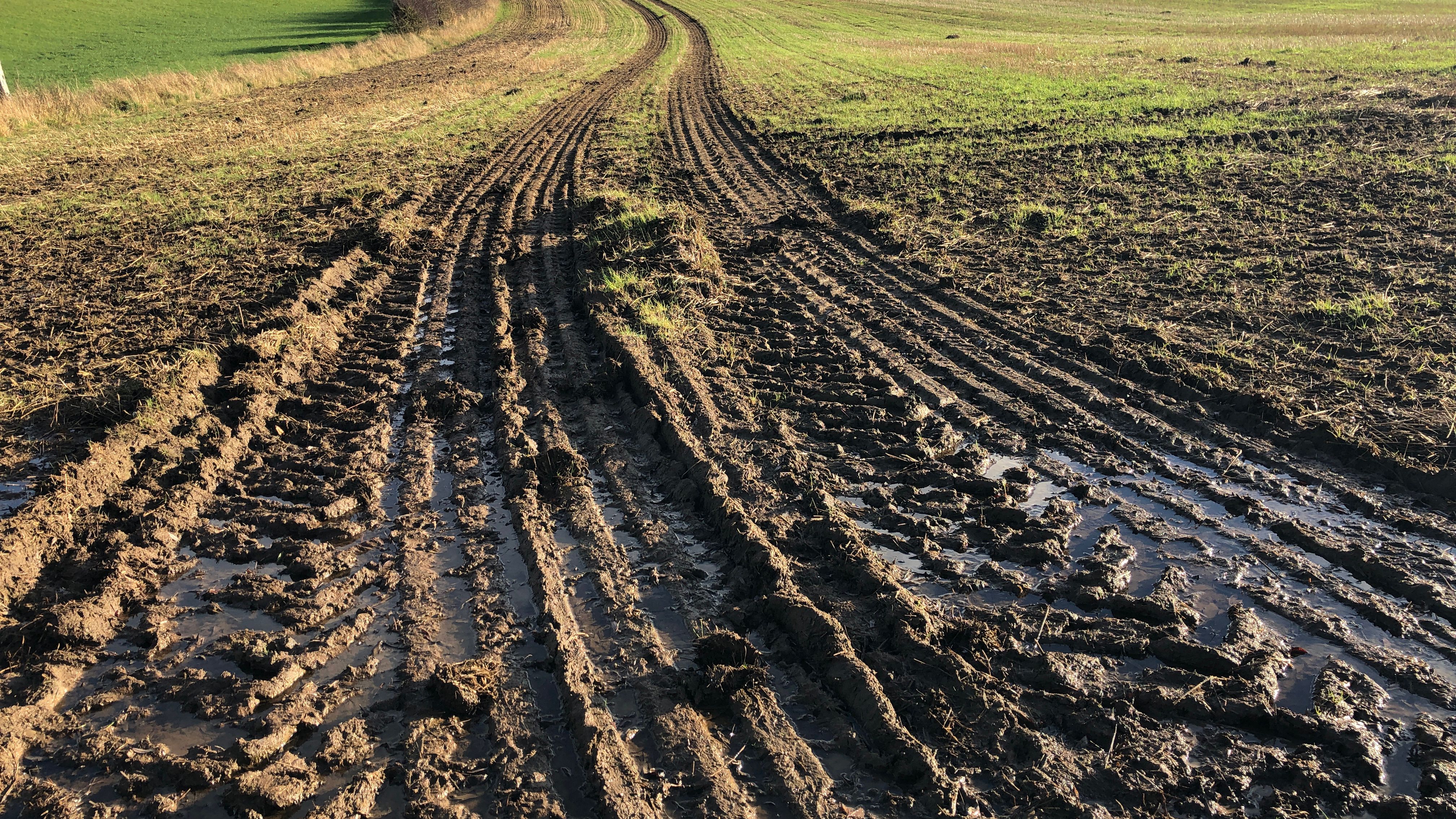 soil compaction