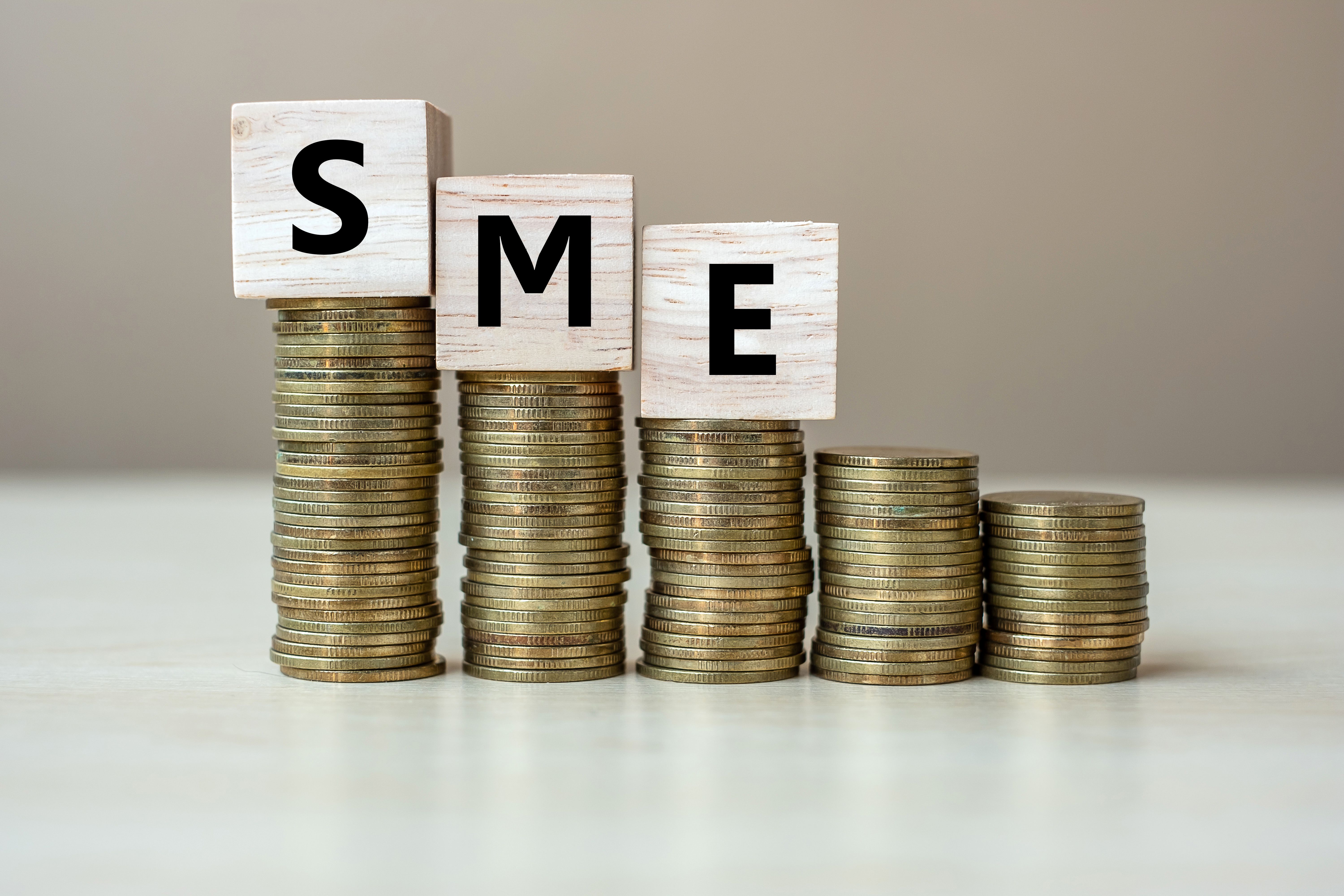 Nigerian SME growth