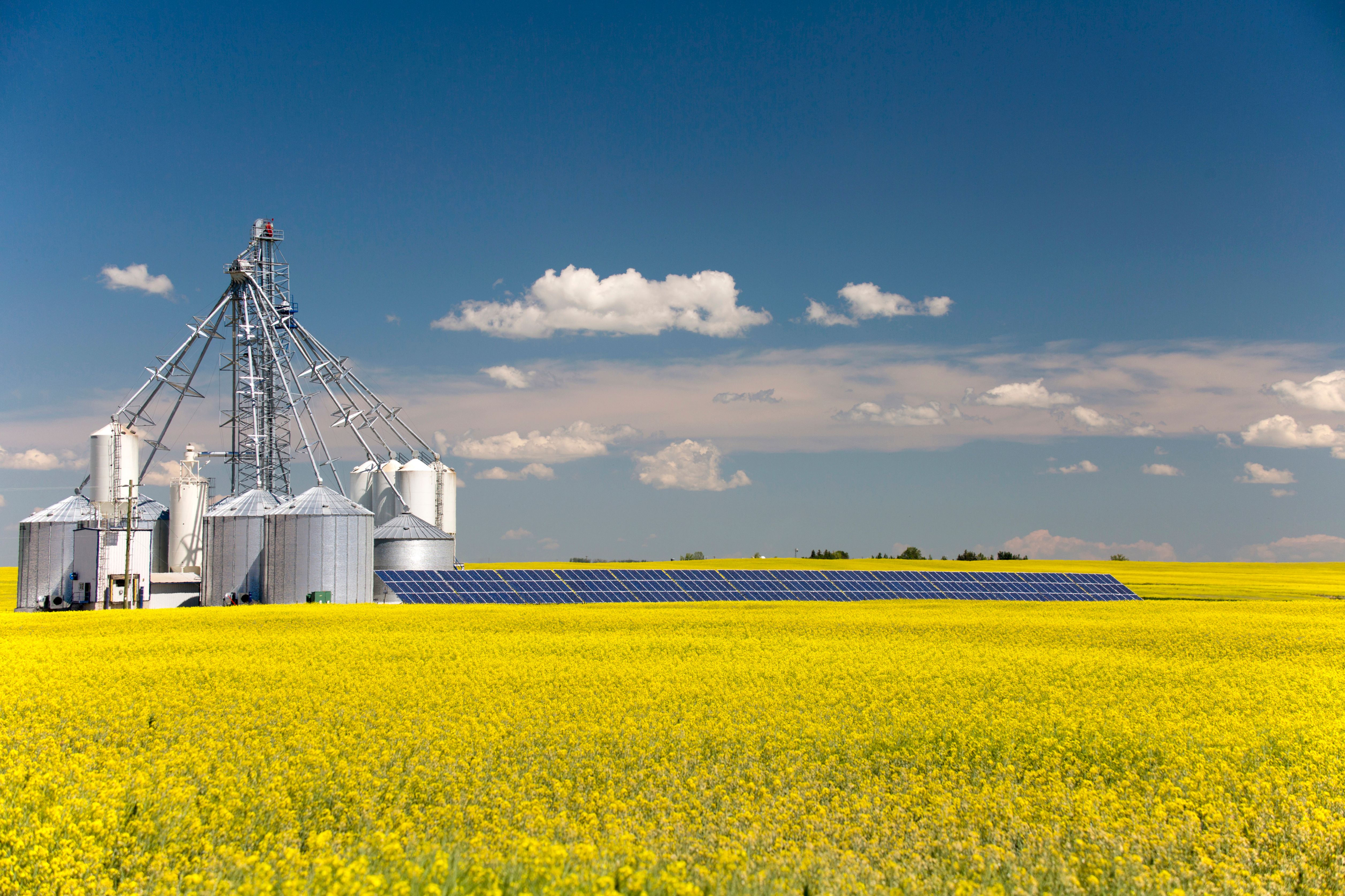 agriculture technology