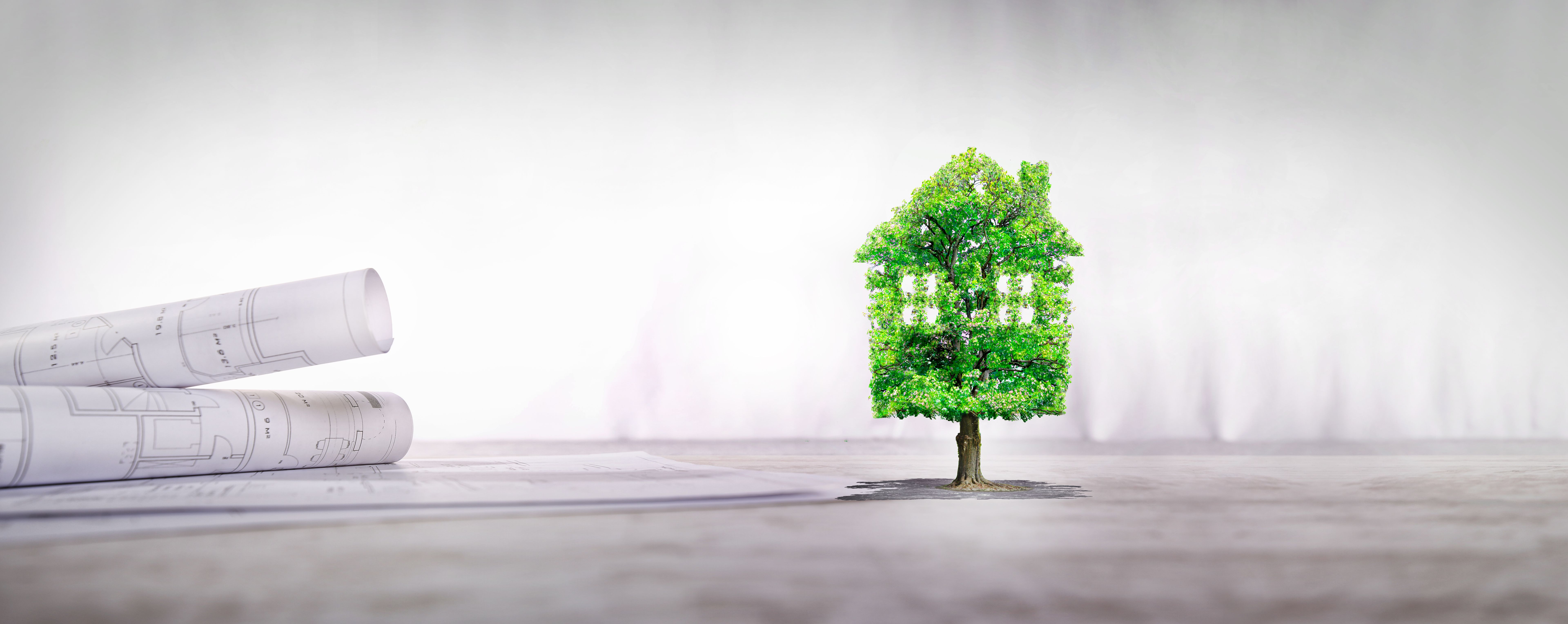 real estate project,Green home , ecological house