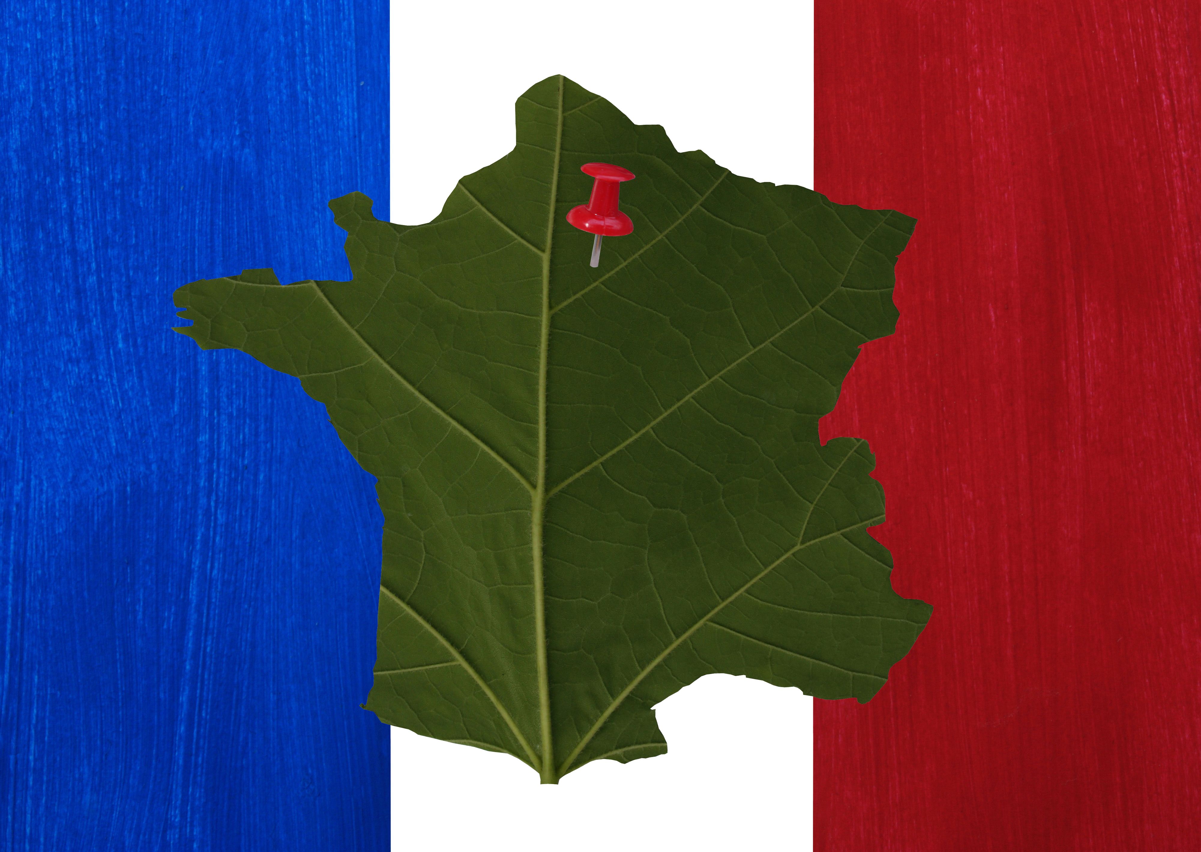 eco label france
