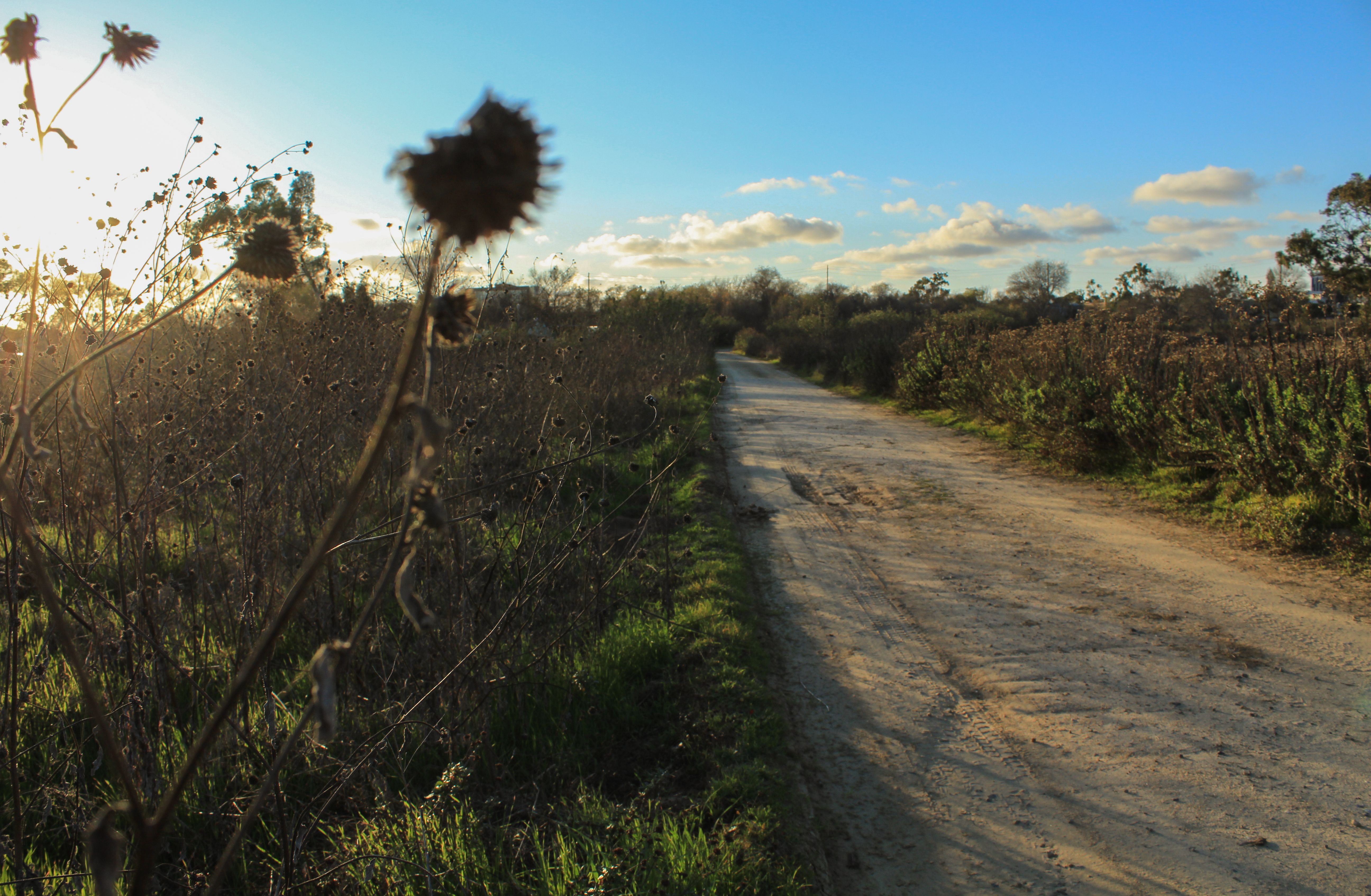 Madrona Marsh Preserve Madrona Marsh Preserve