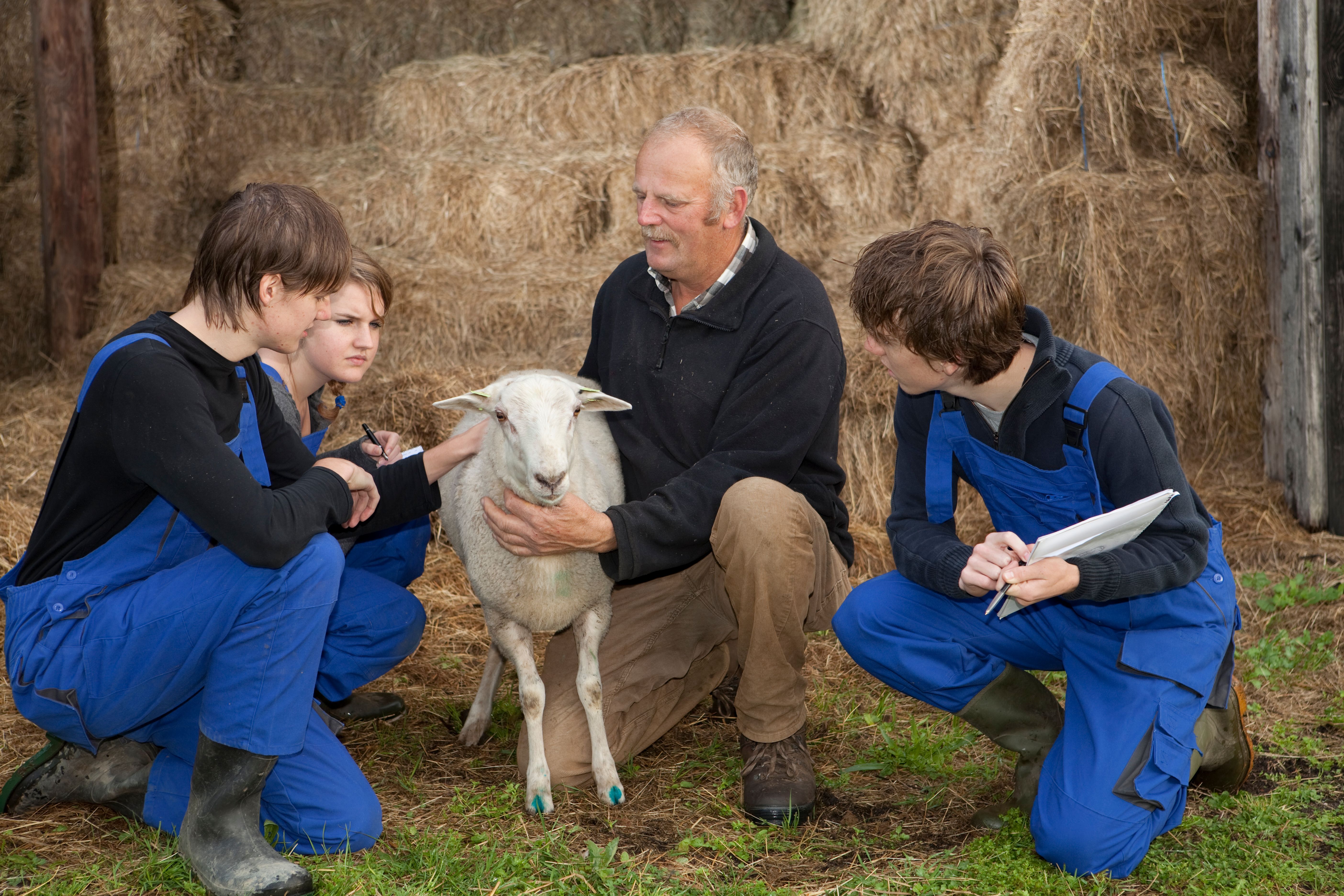 farmer training