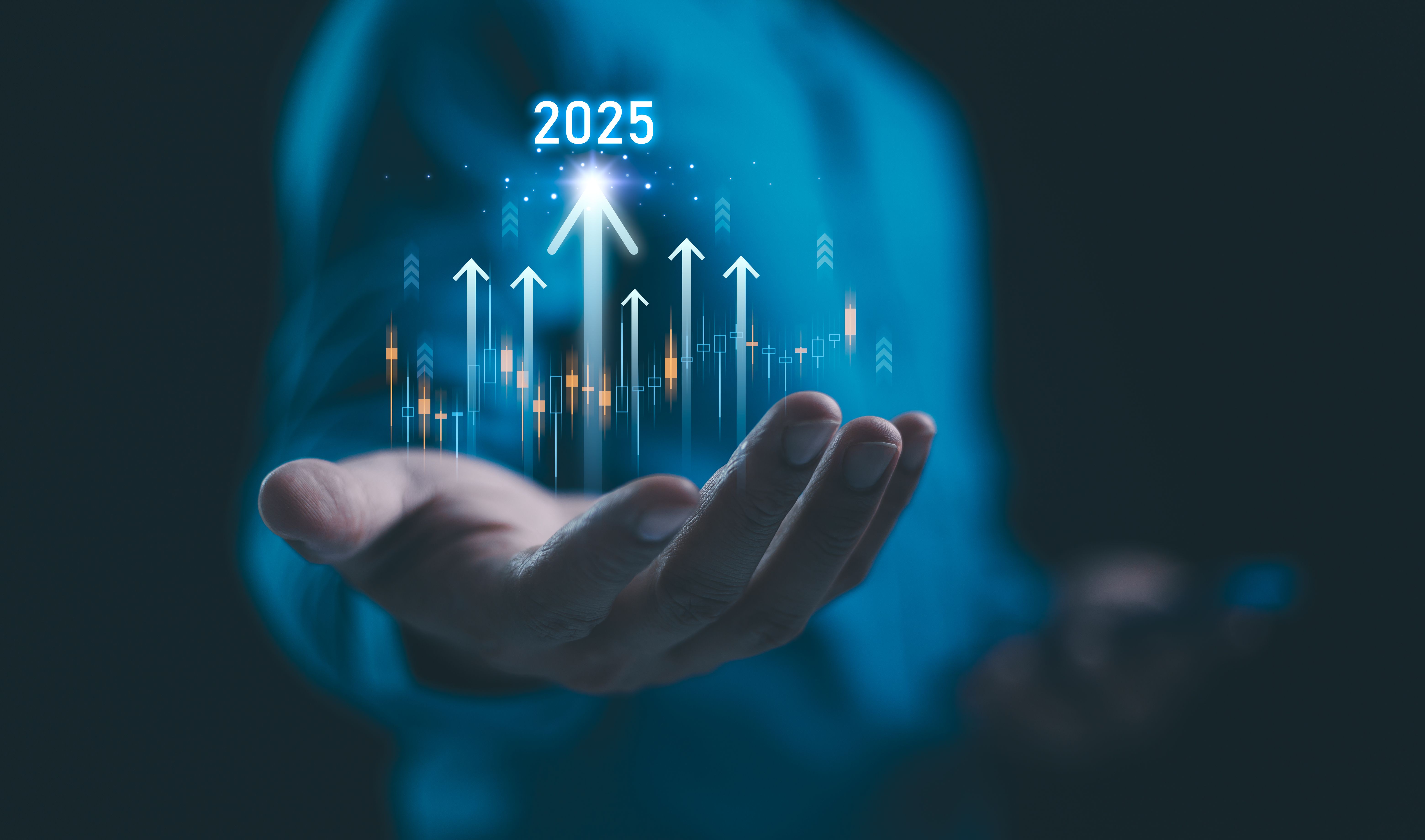 2024 to 2025 business growth strategic investment capital, goal of success, stock market. Company comprehensive plan budget, trend for year. Analyzing financial data and market trends from 2024.