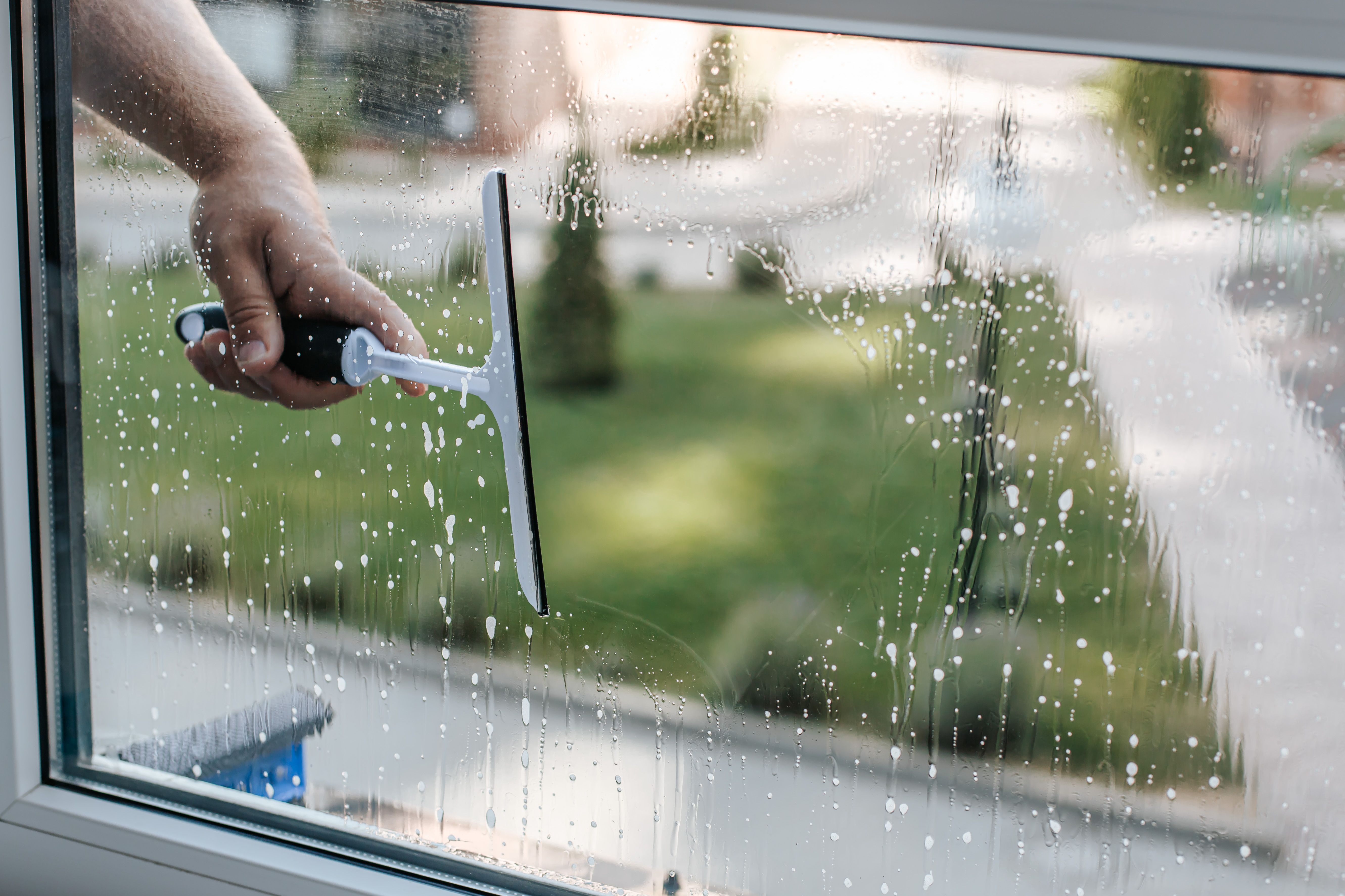 clean home windows