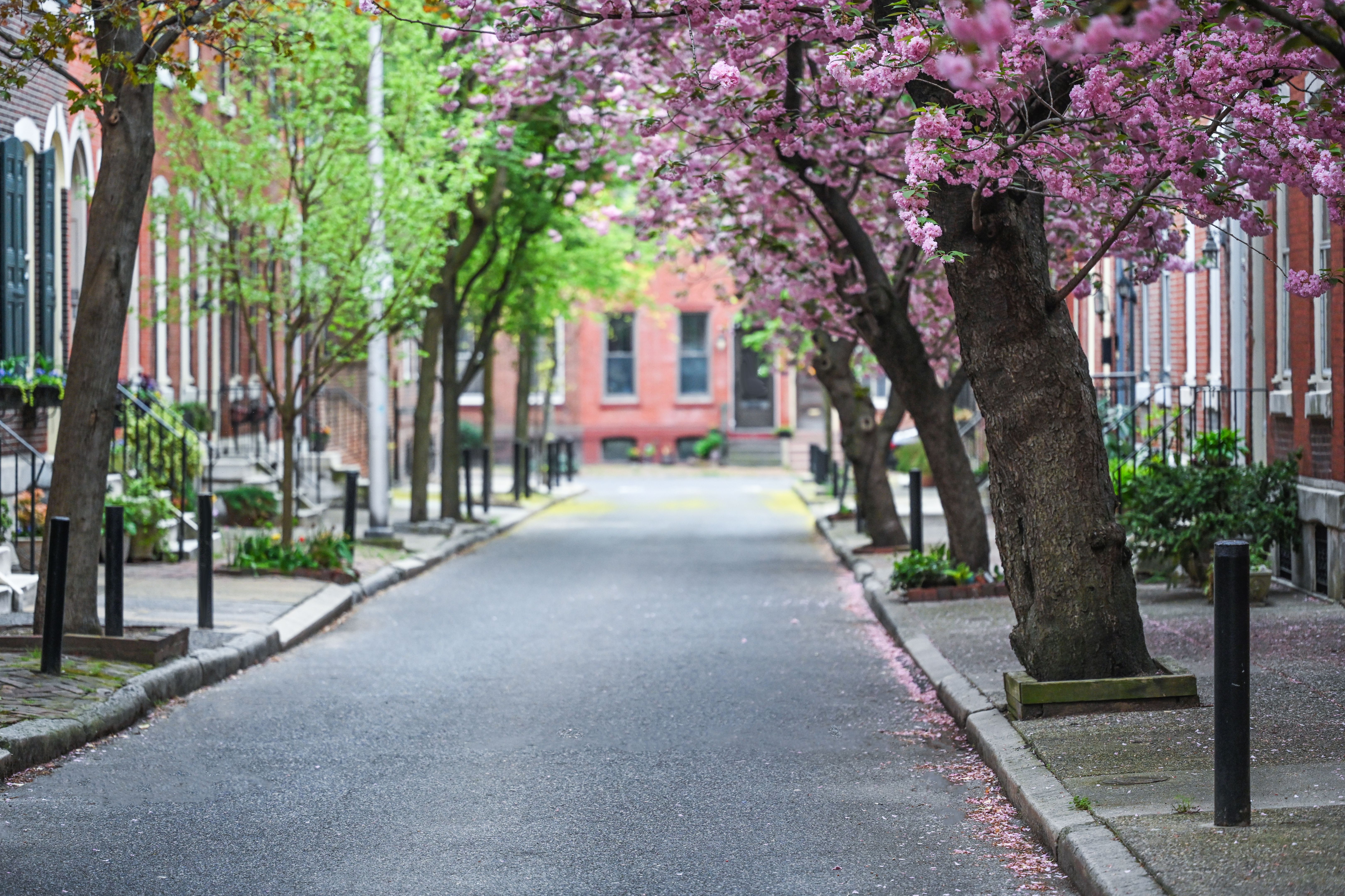 philadelphia real estate