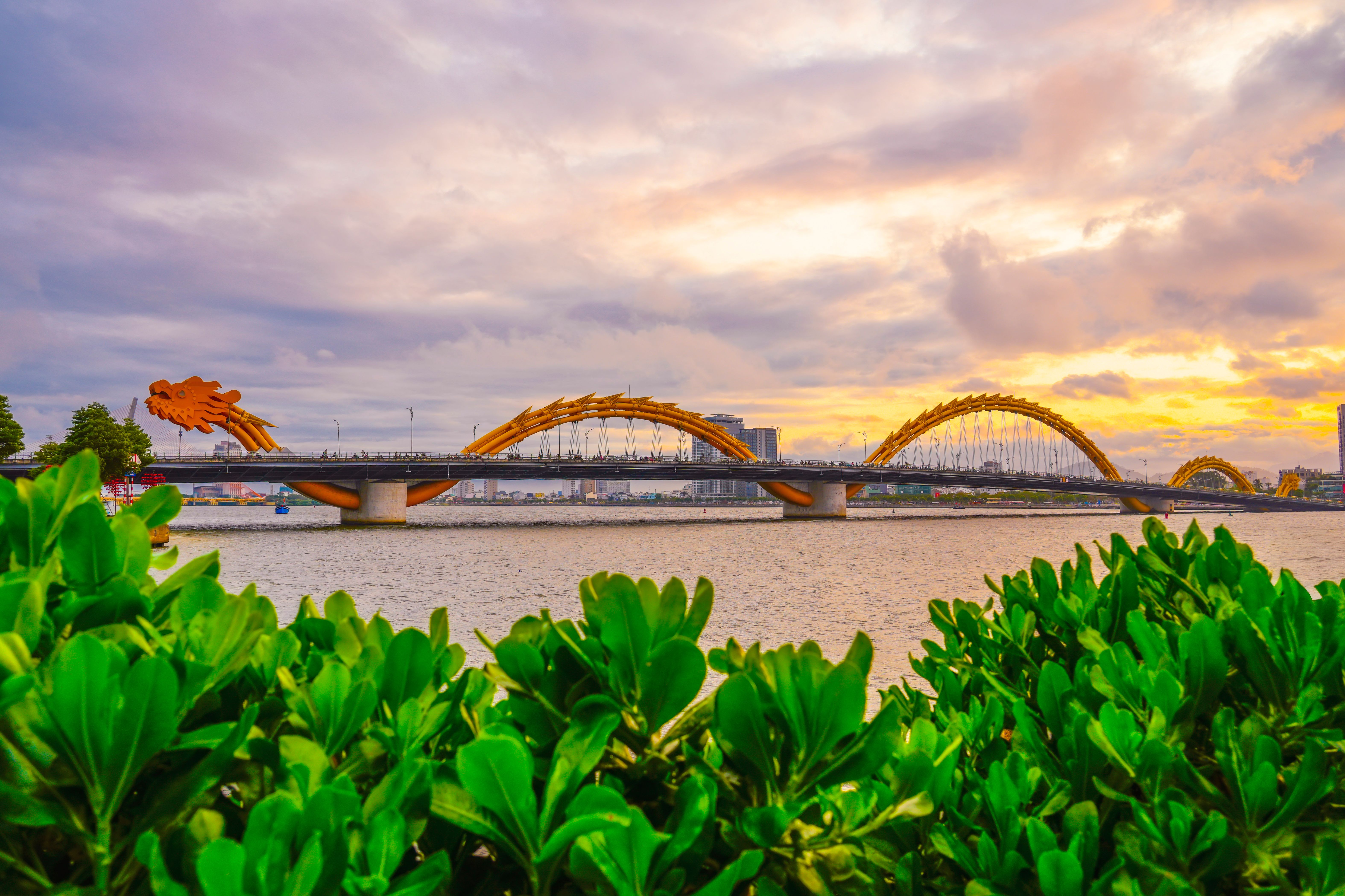 Head View of Dragon bridge at sunset time evening olden hour beautiful clouds with a warm tint with green foliage and shrubs in the foreground. 18 March 2025 Head View of Dragon bridge at sunset time evening olden hour beautiful clouds with a warm tint with green foliage and shrubs in the foreground. 18 March 2025