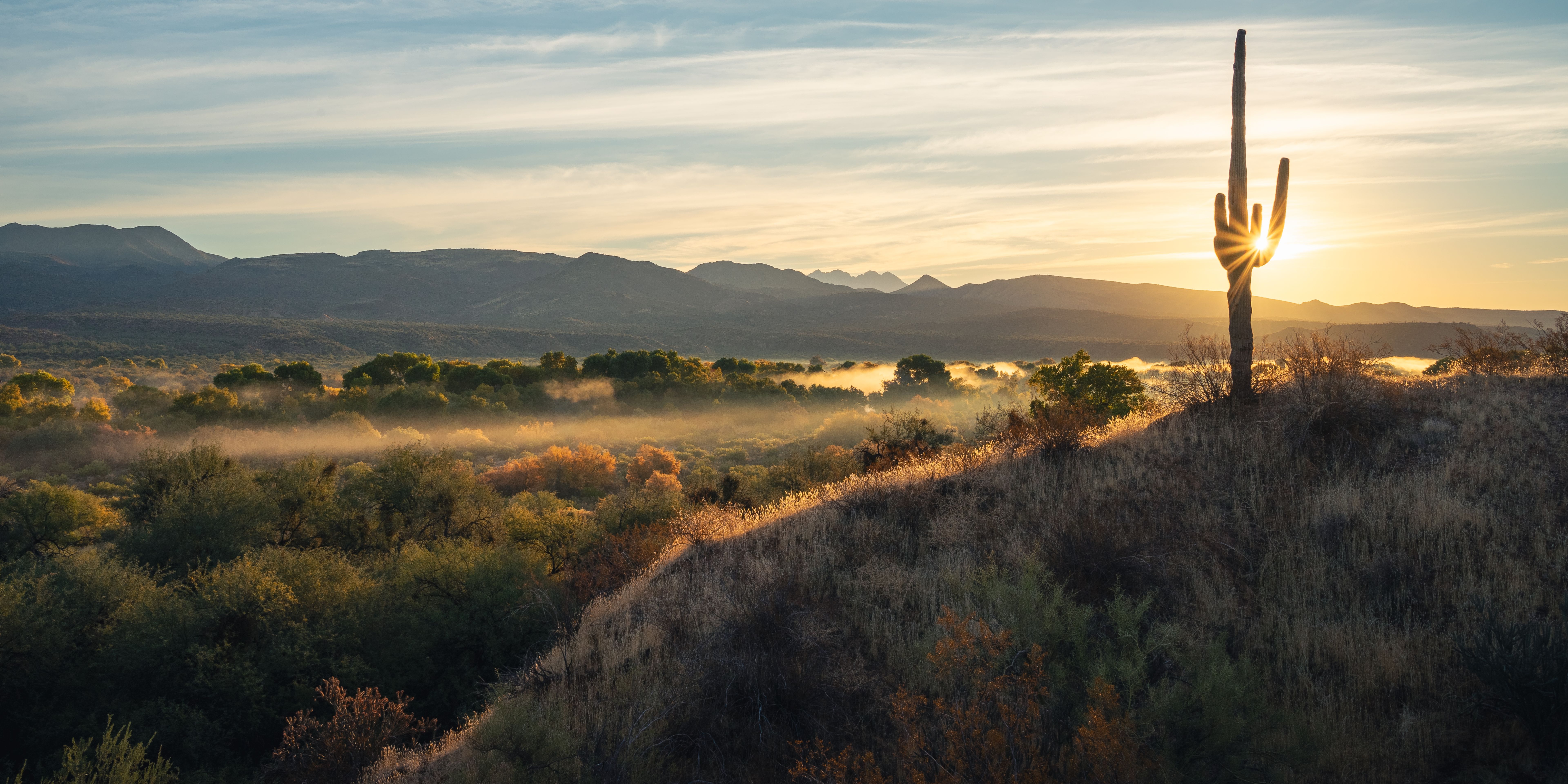 Fog rises from the Verde River with a lone saguaro during sunrise