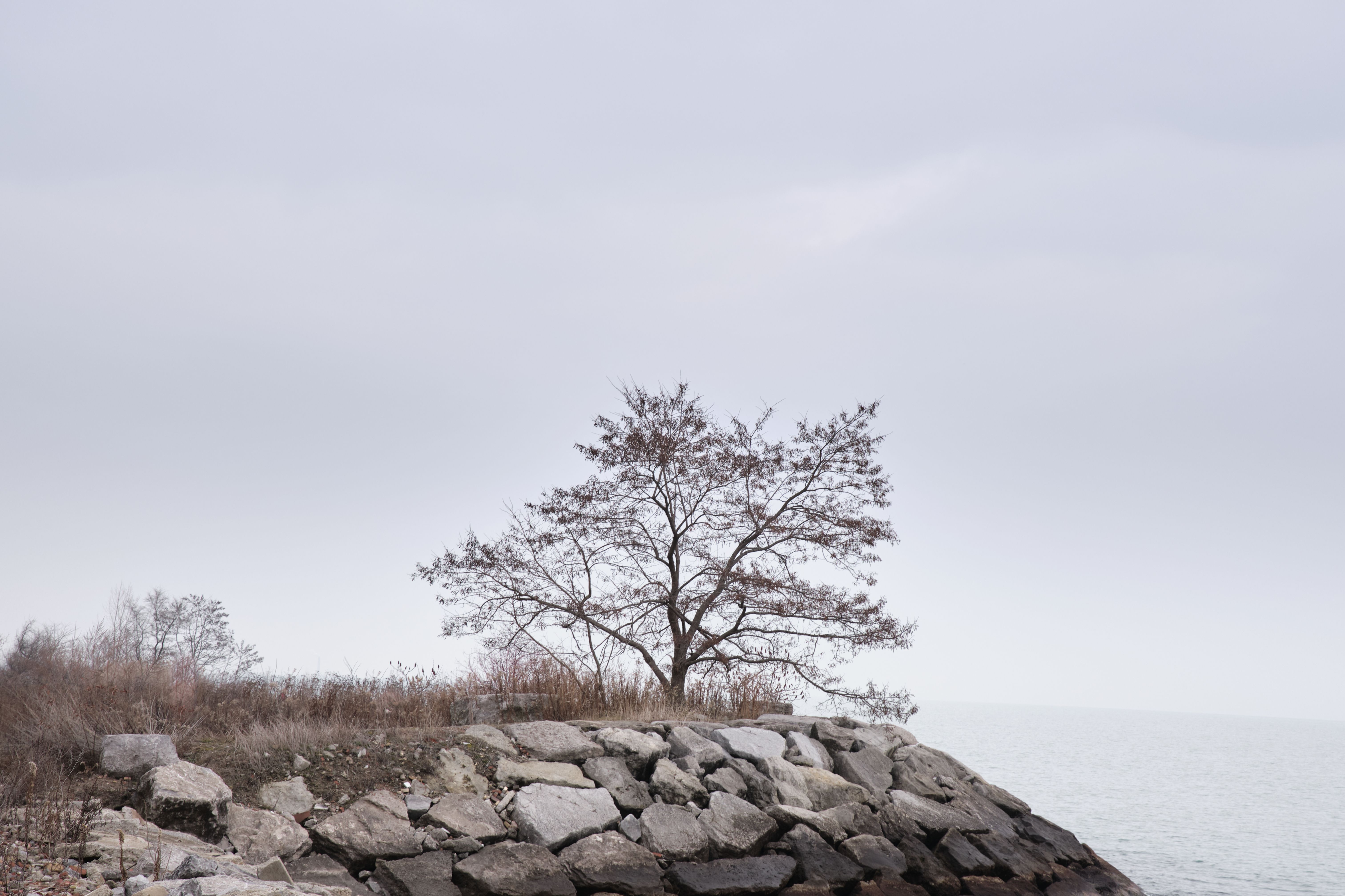 scarborough photography