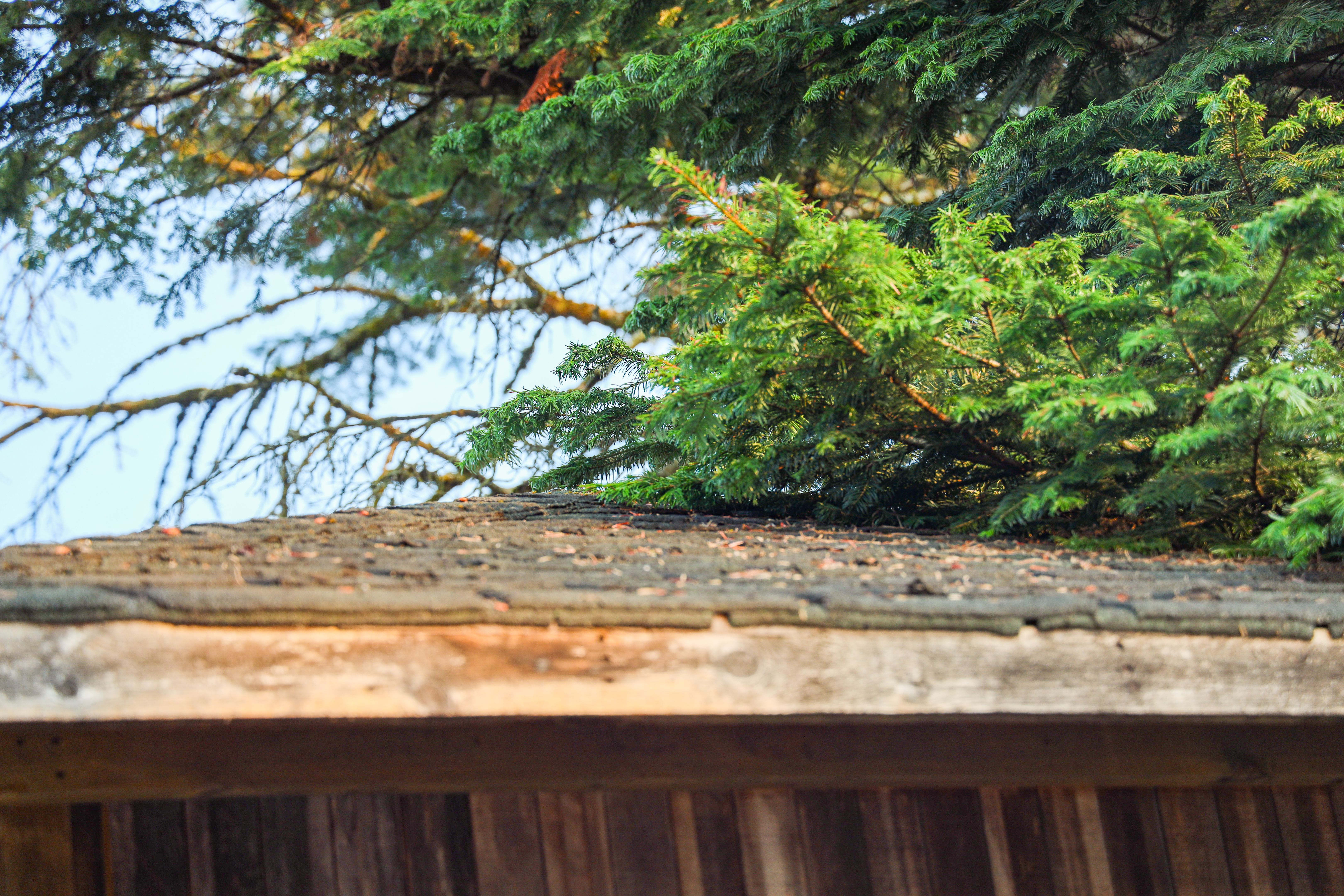 roofing myths