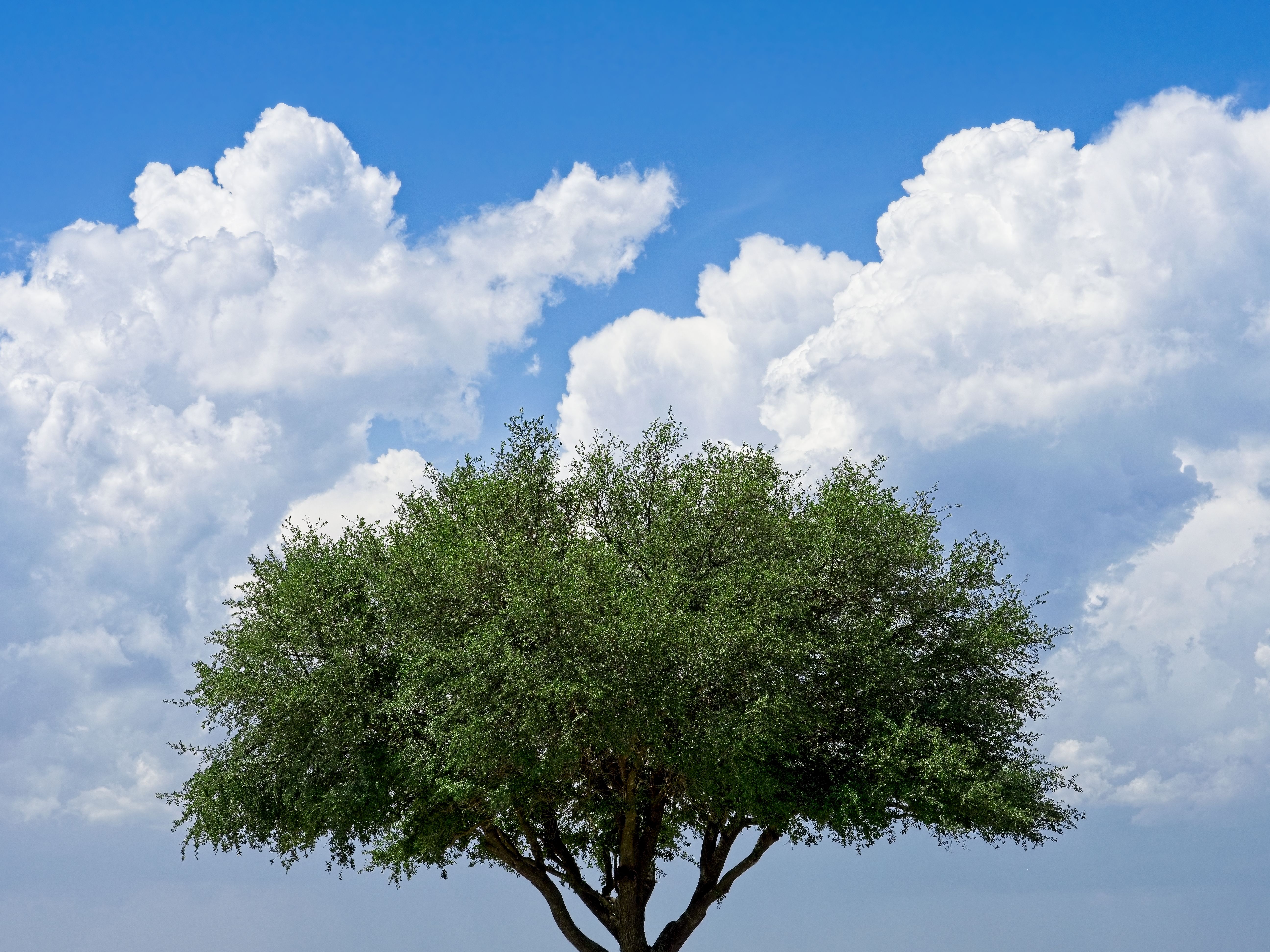 fredericksburg weather