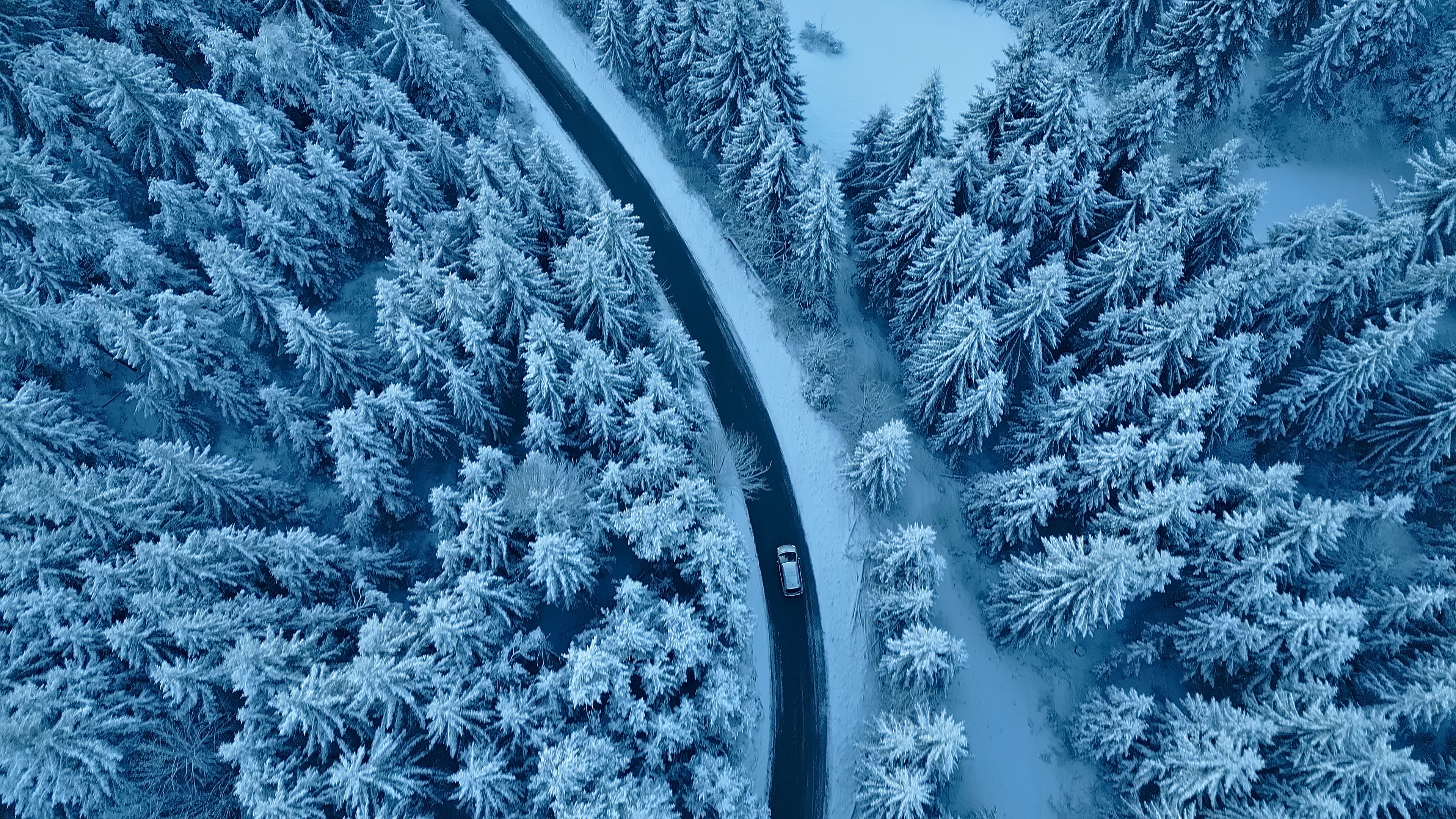 winter travel