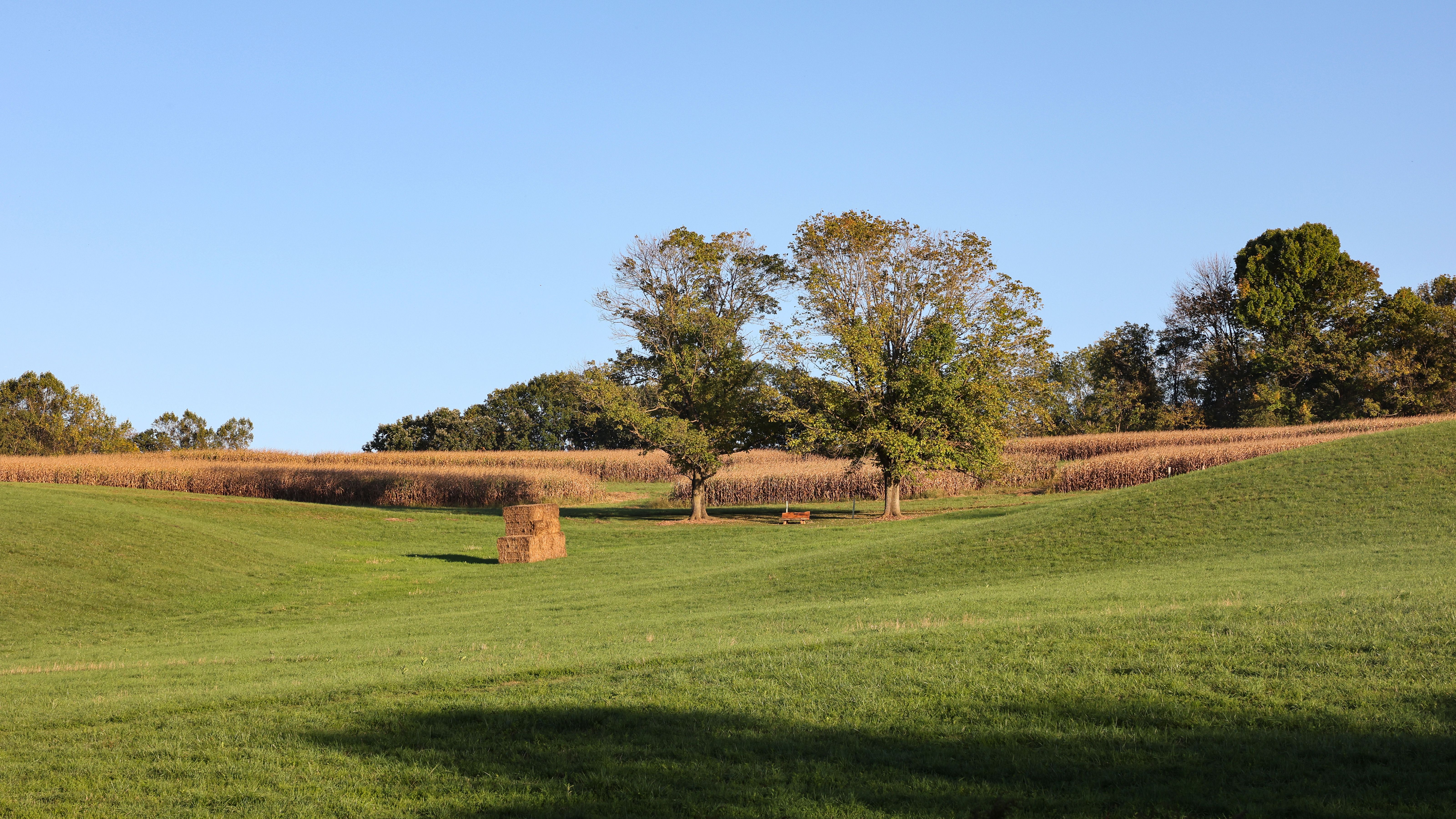 west chester landscape
