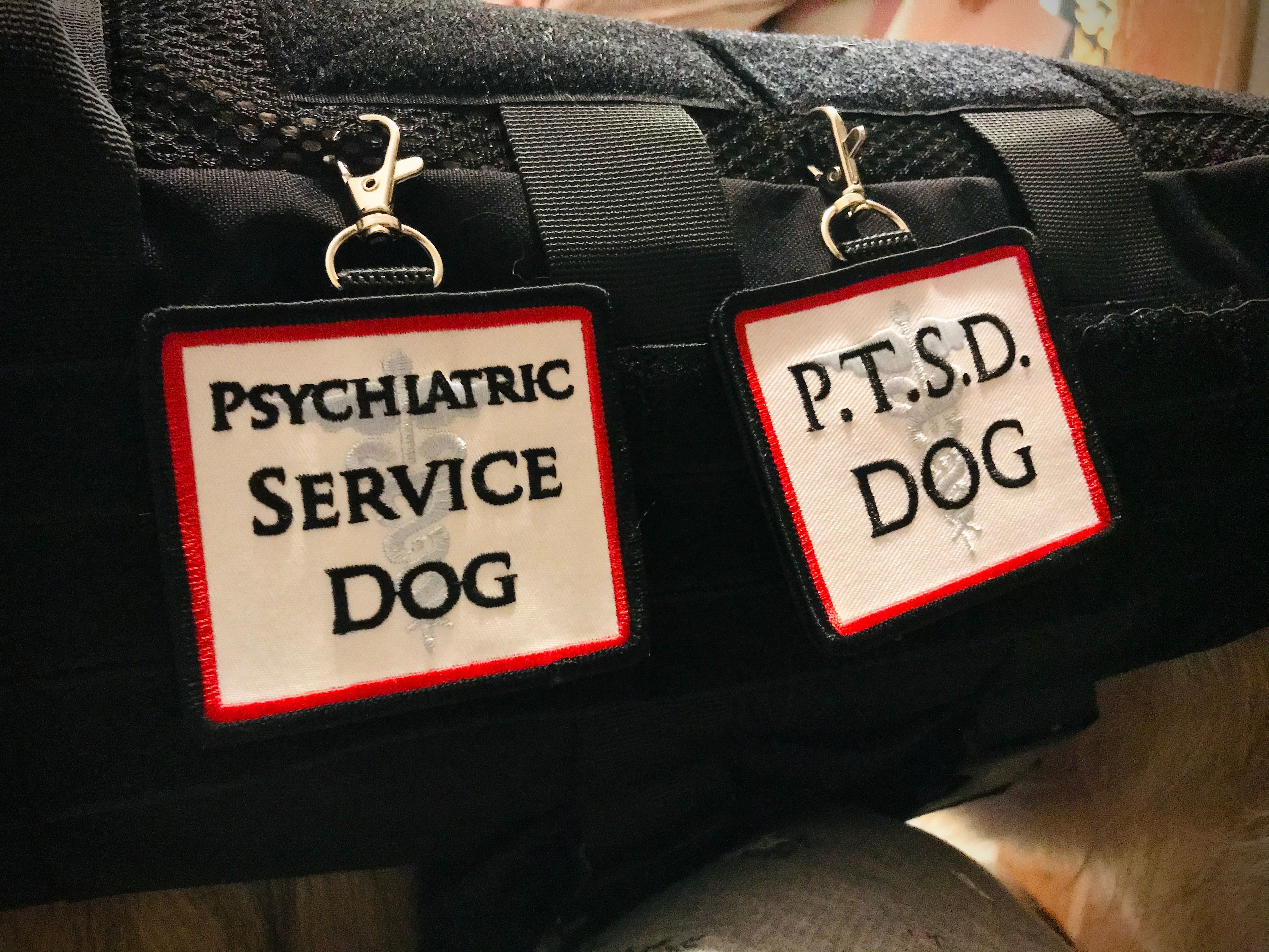 psychiatric service dog
