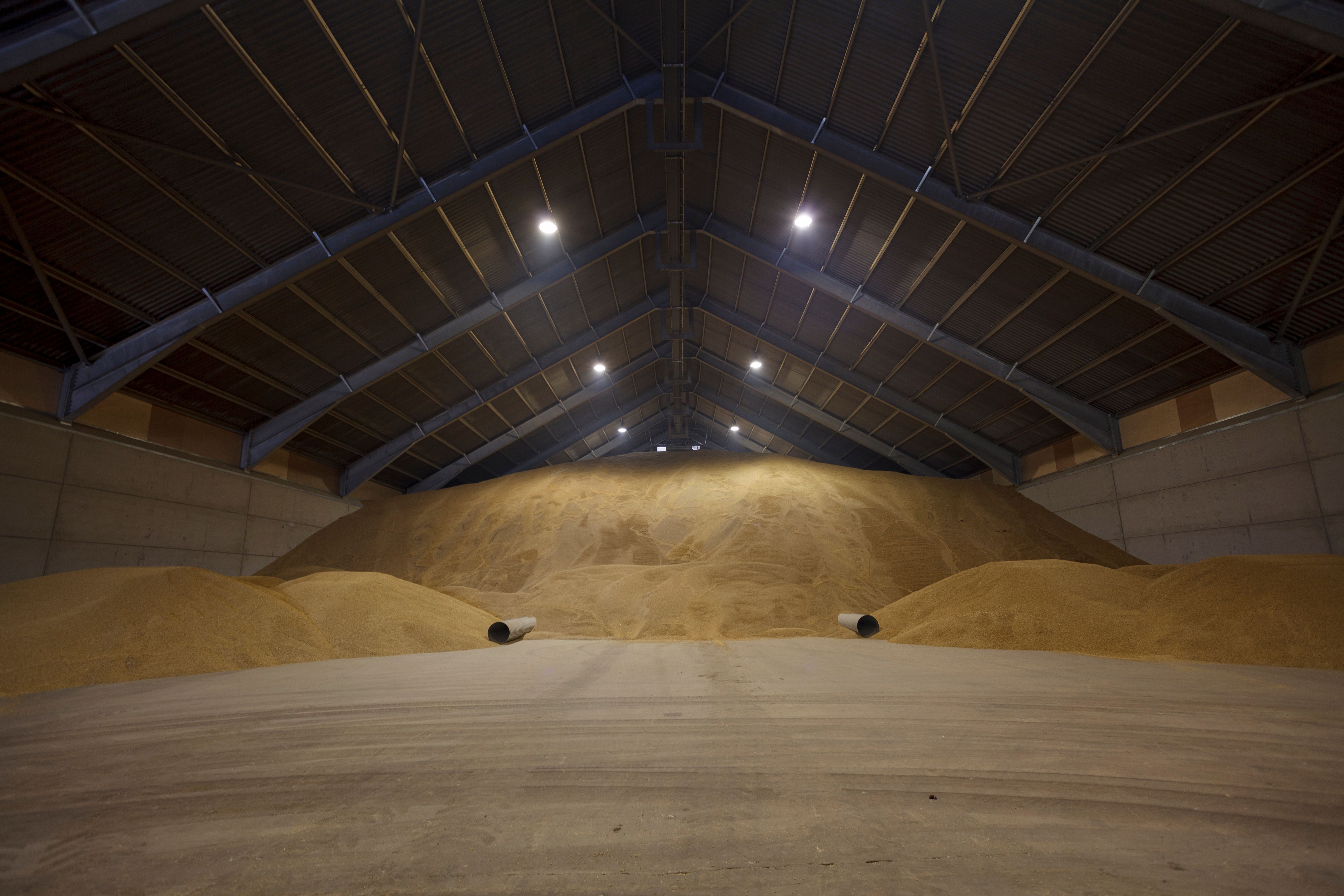 grains storage