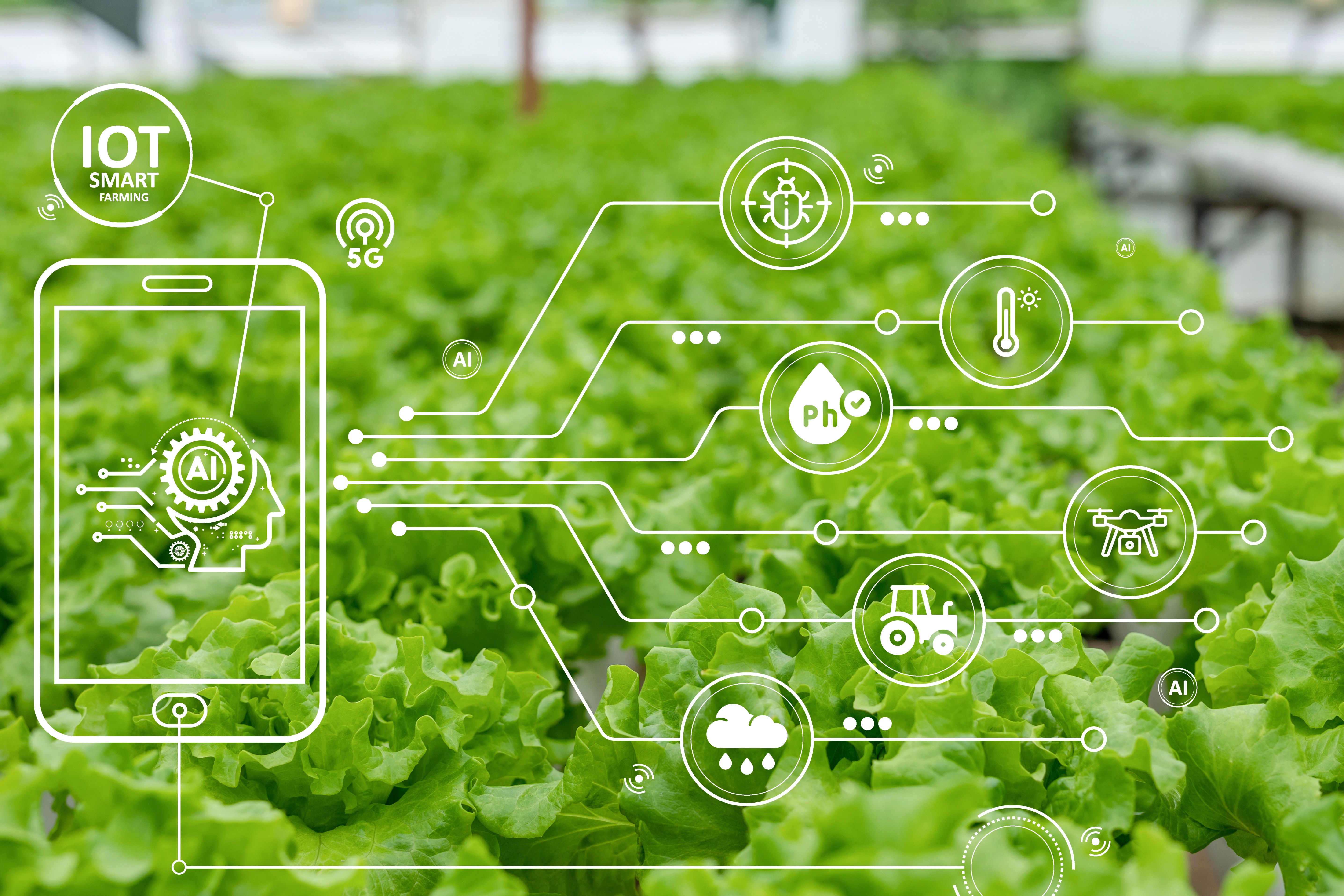 yield farming crypto