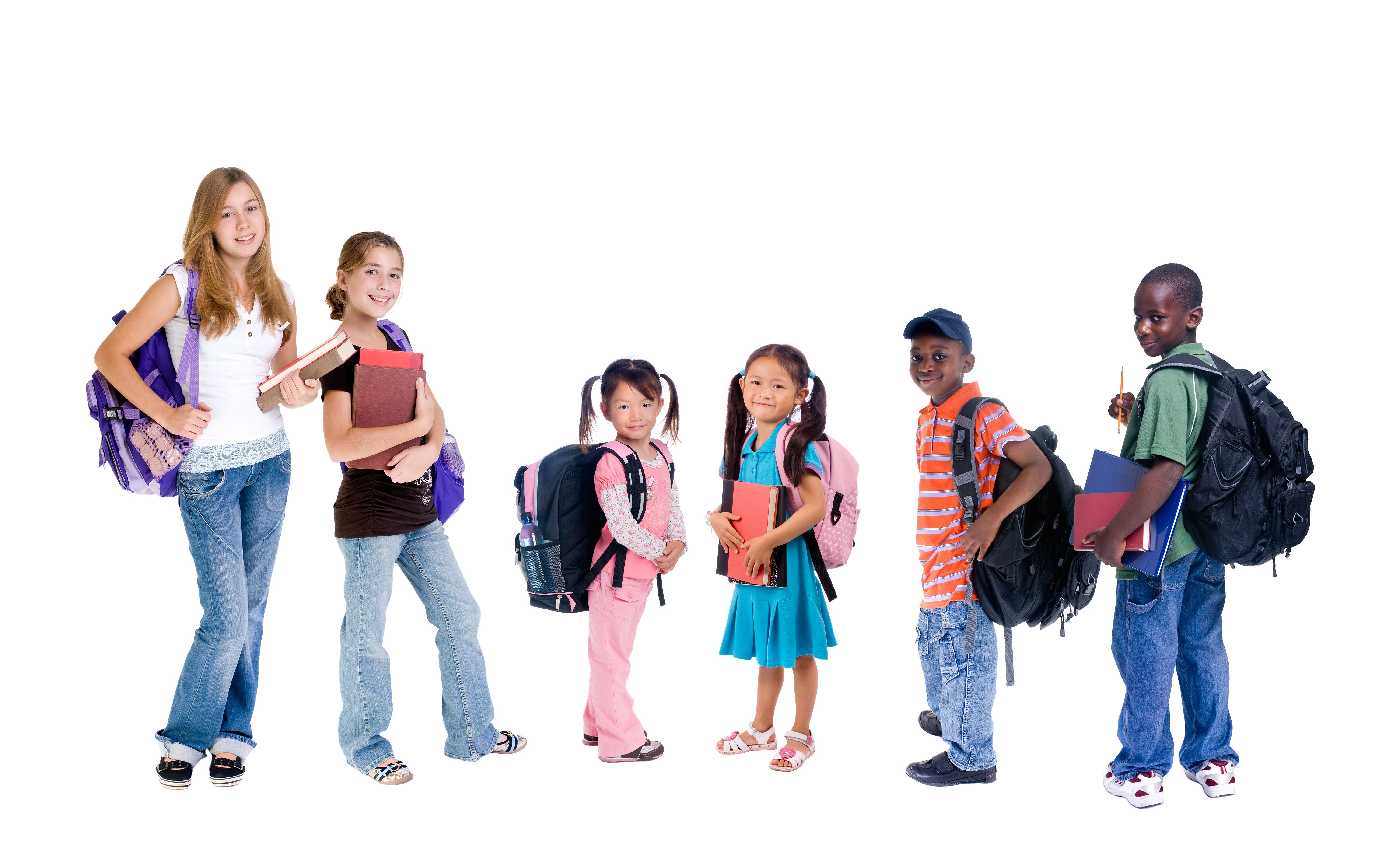 Diversity in School