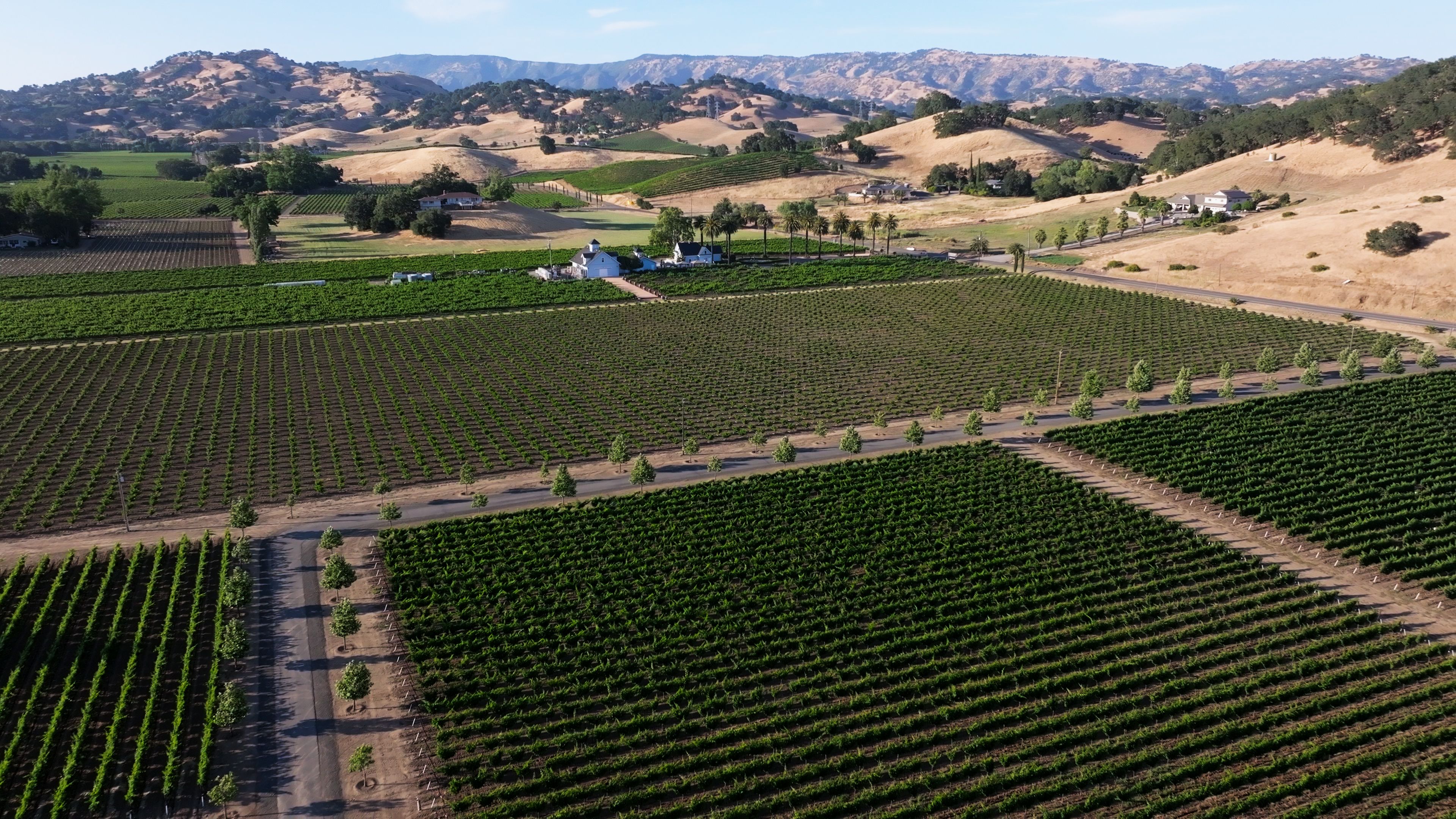 california vineyards