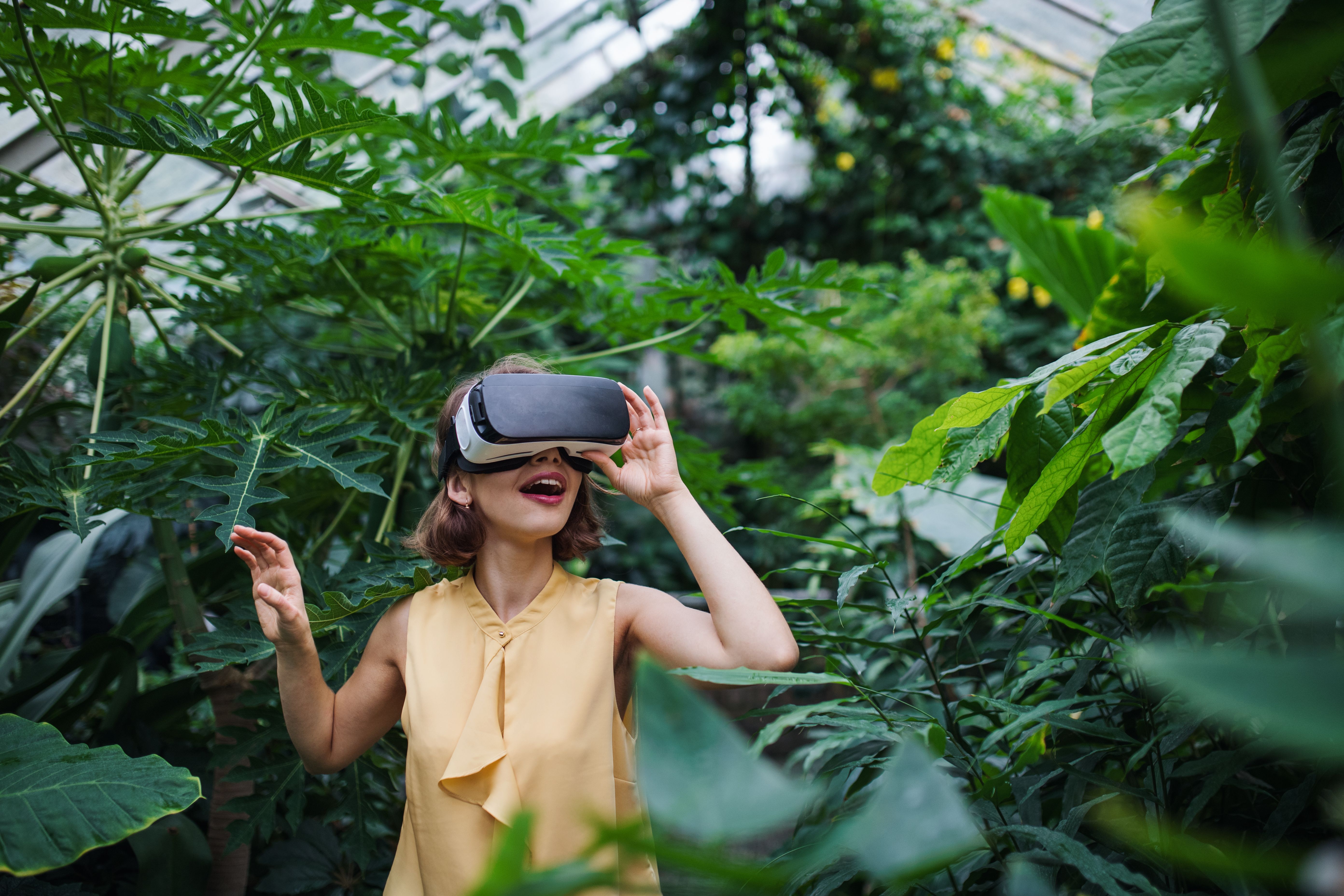 nature virtual reality