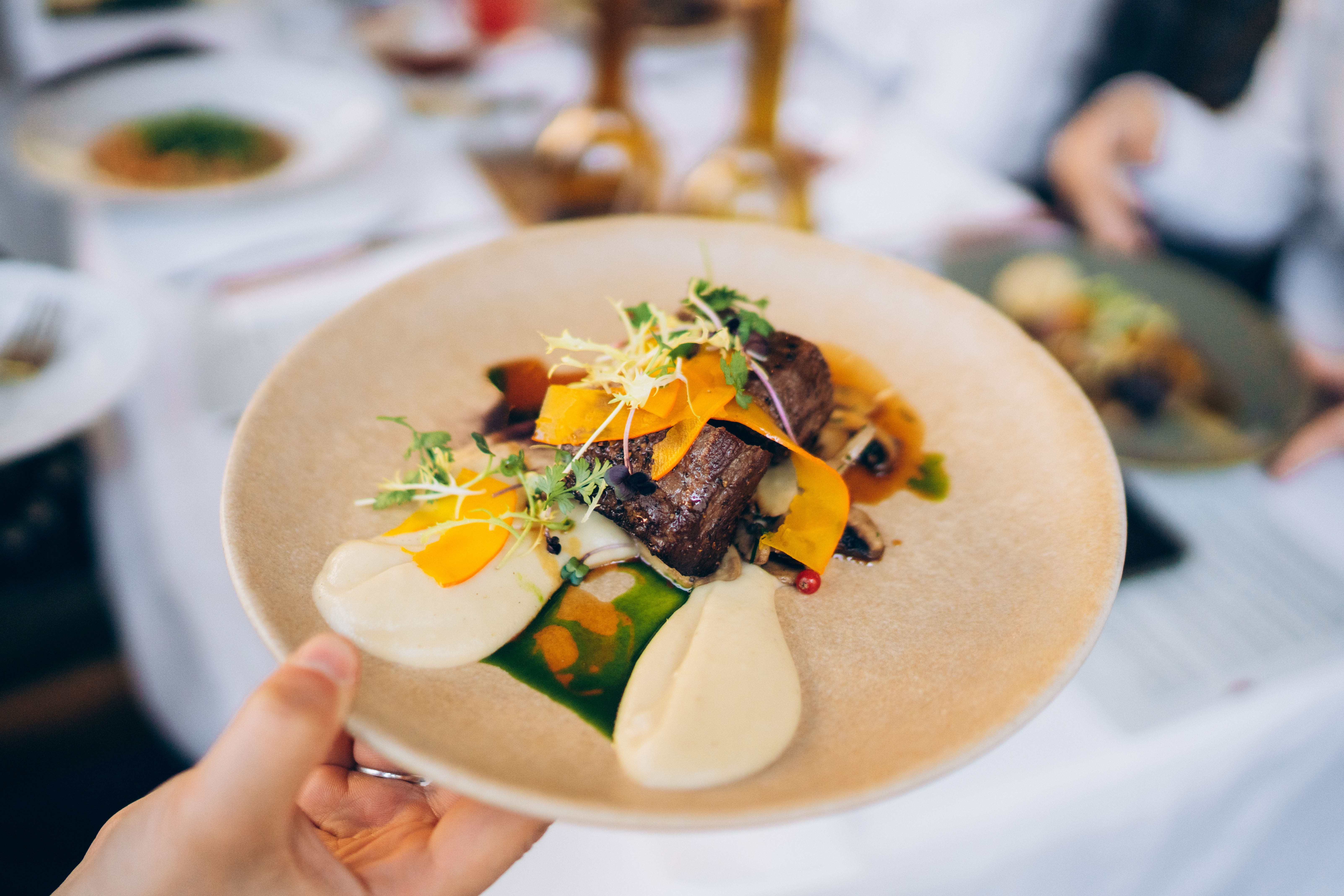 gourmet dish presentation