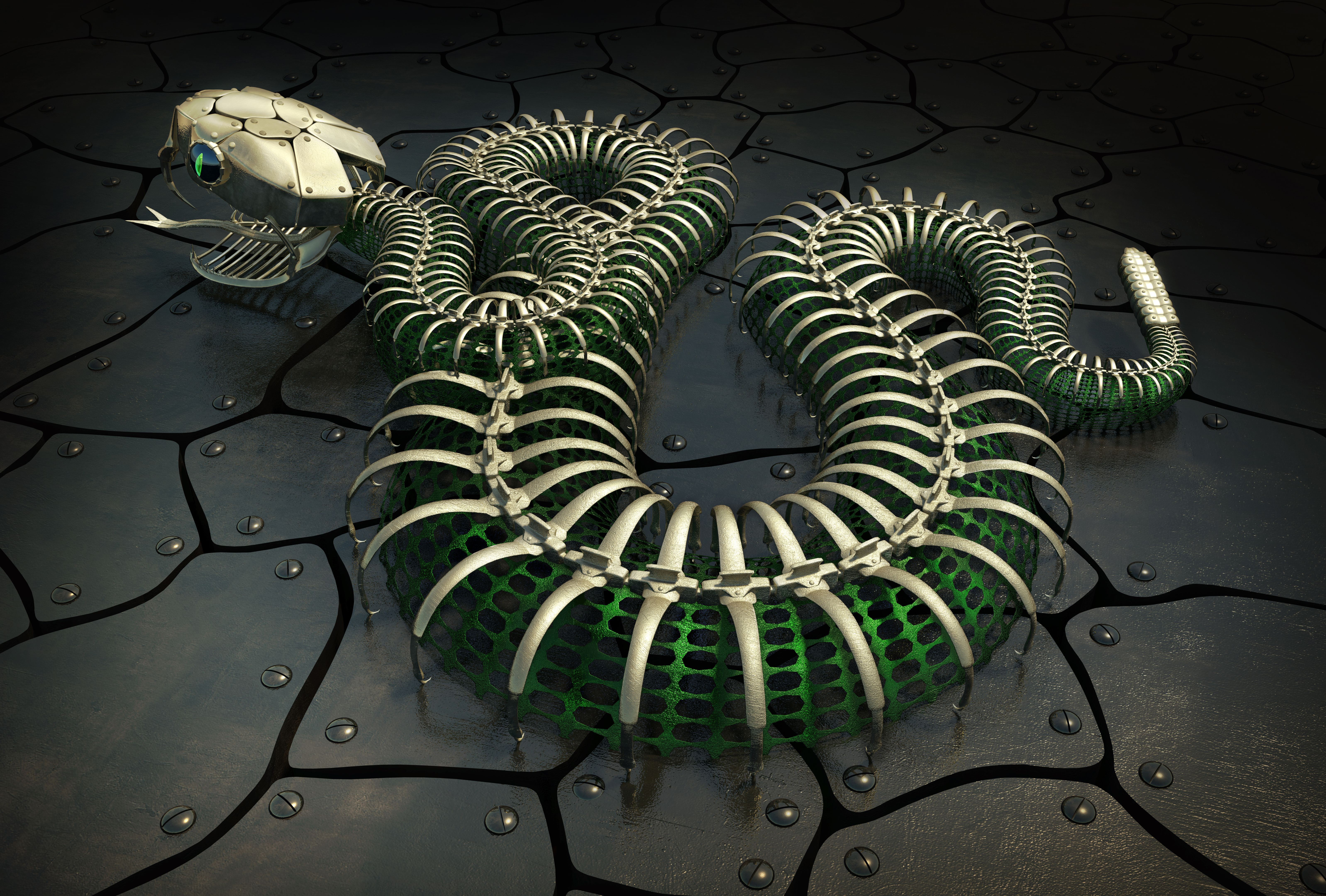 anaconda installation