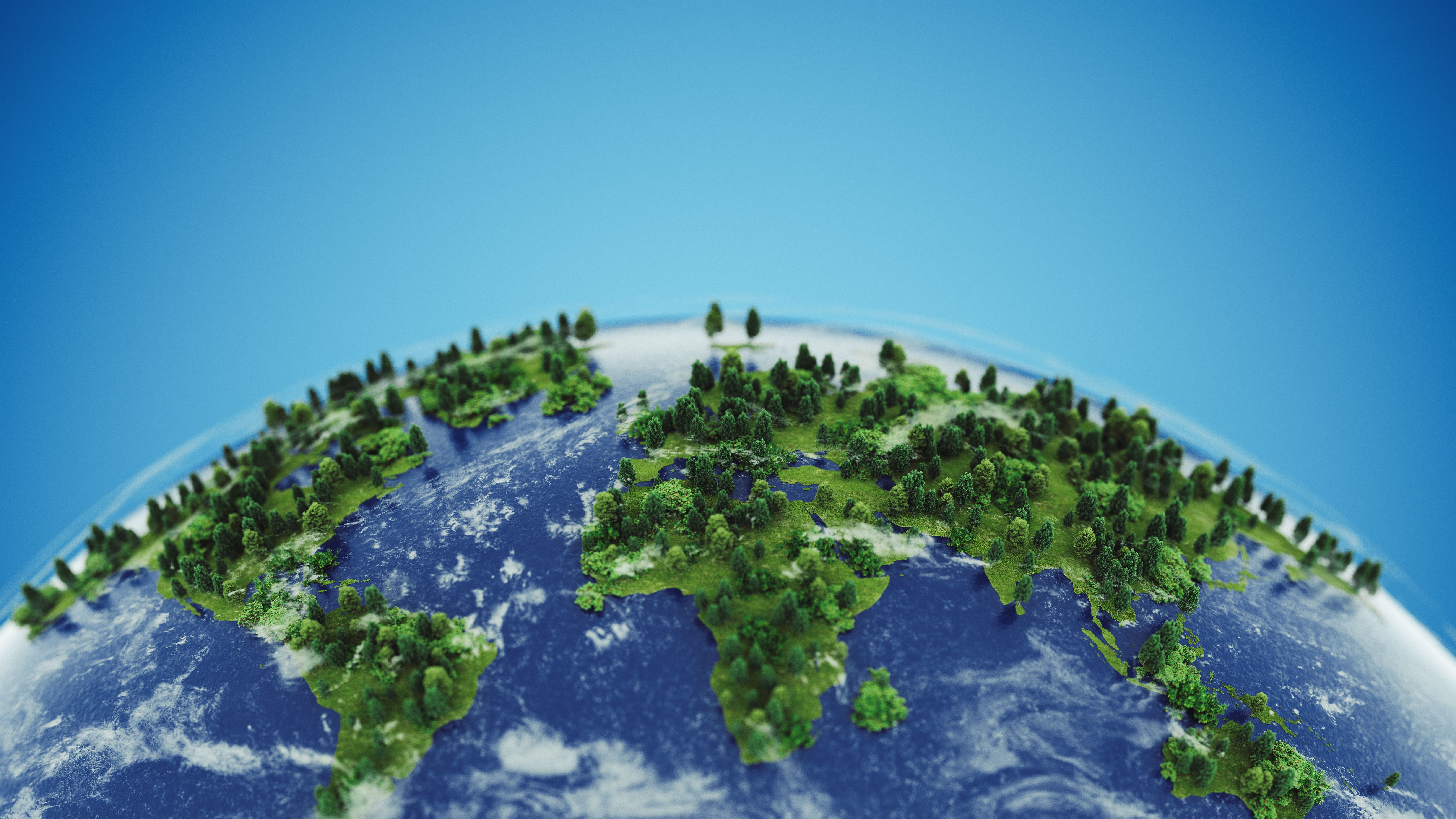 environmental sustainability