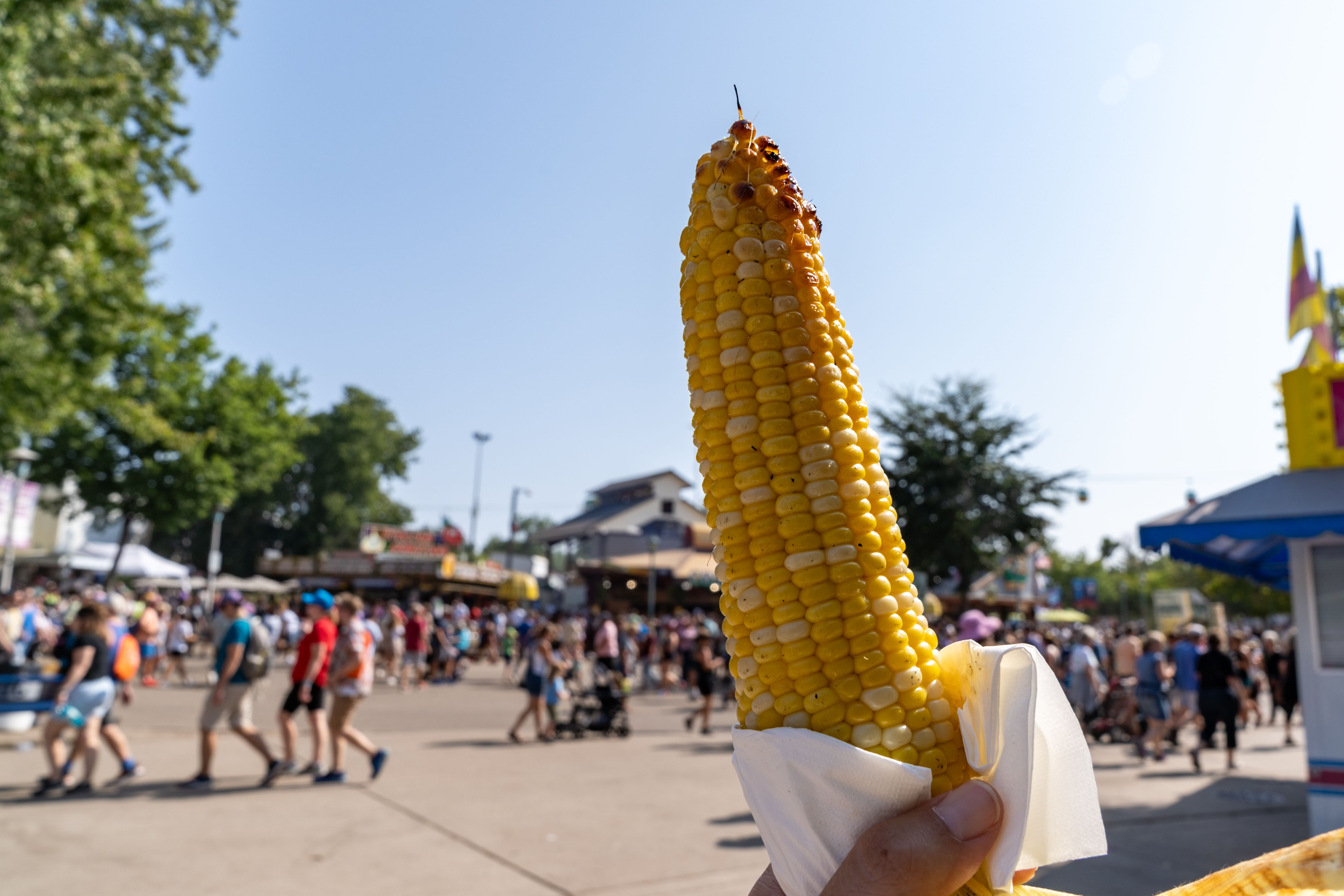 minnesota state fair