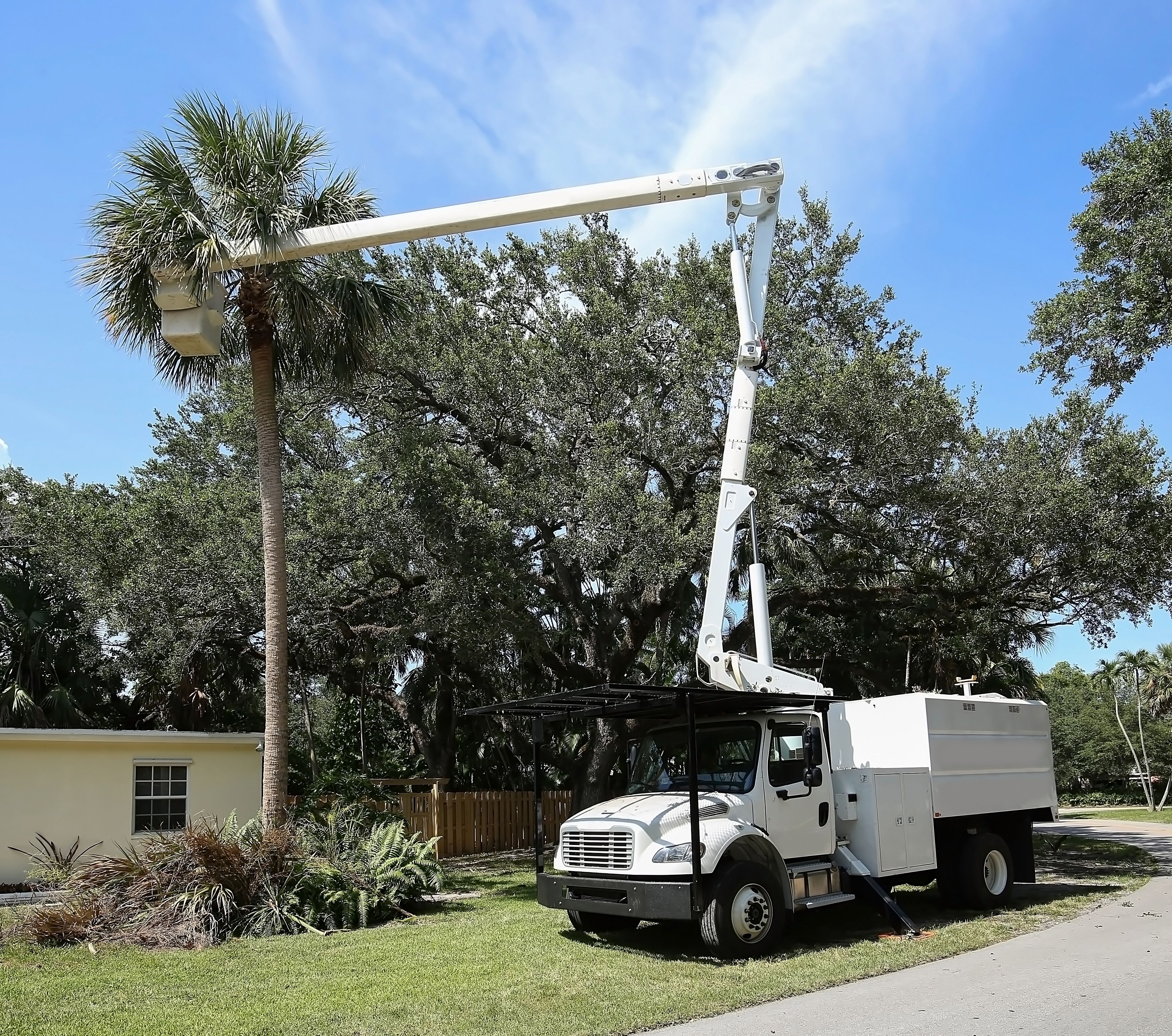 florida outdoor maintenance