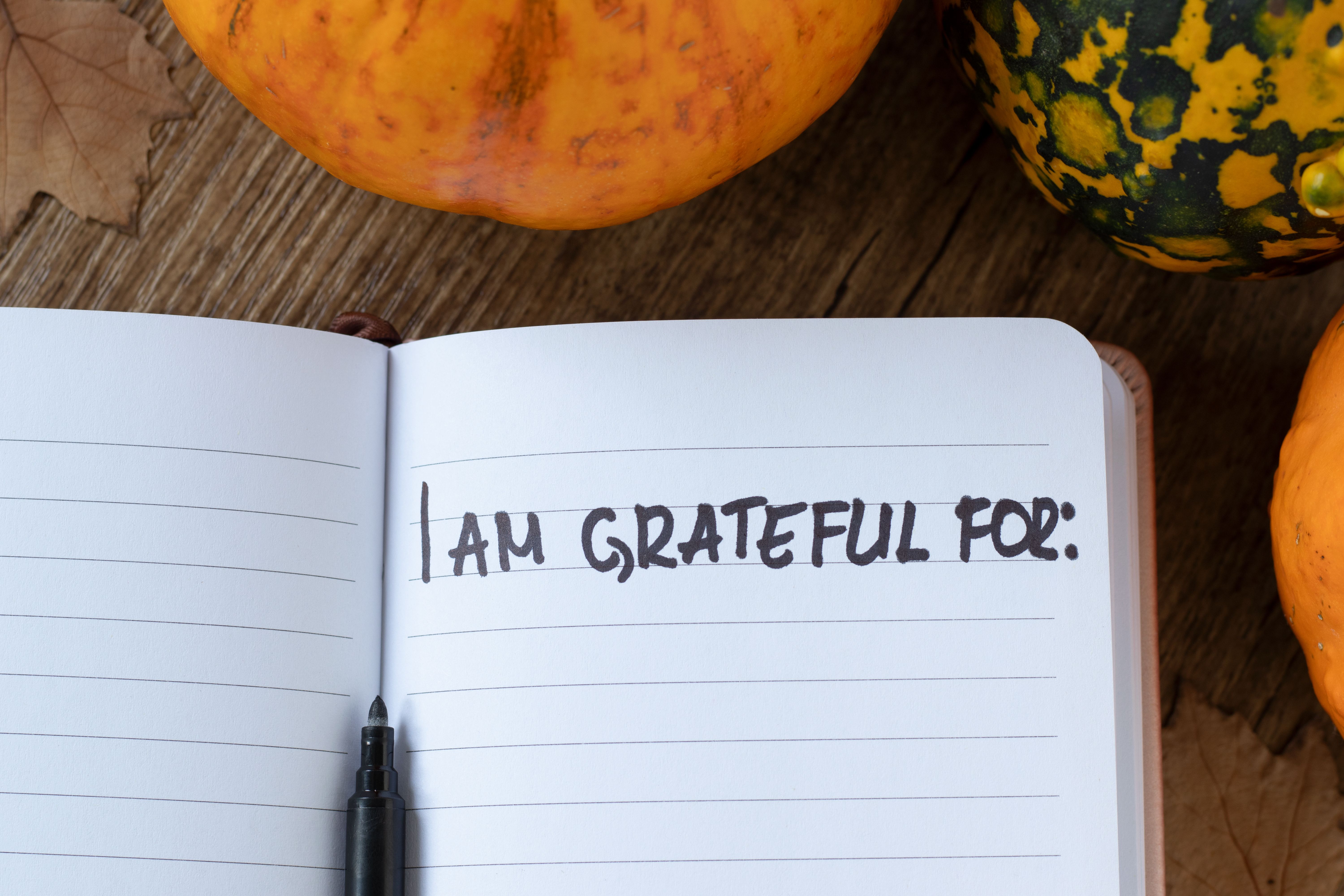 I am grateful for, handwriting in notebook with pumpkin and autumn leaves on wooden table I am grateful for, handwriting in notebook with pumpkin and autumn leaves on wooden table
