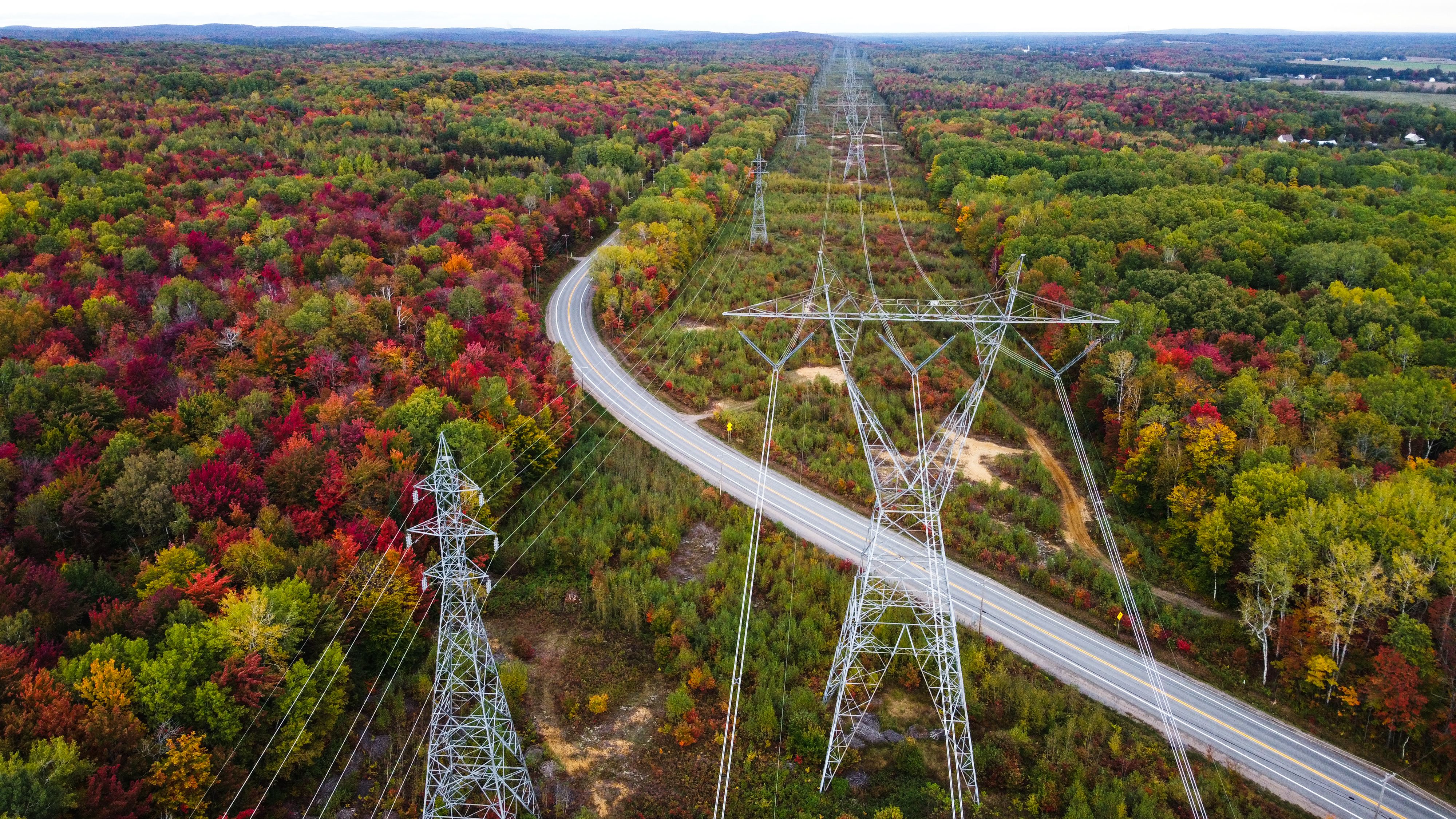 vegetation management transmission line