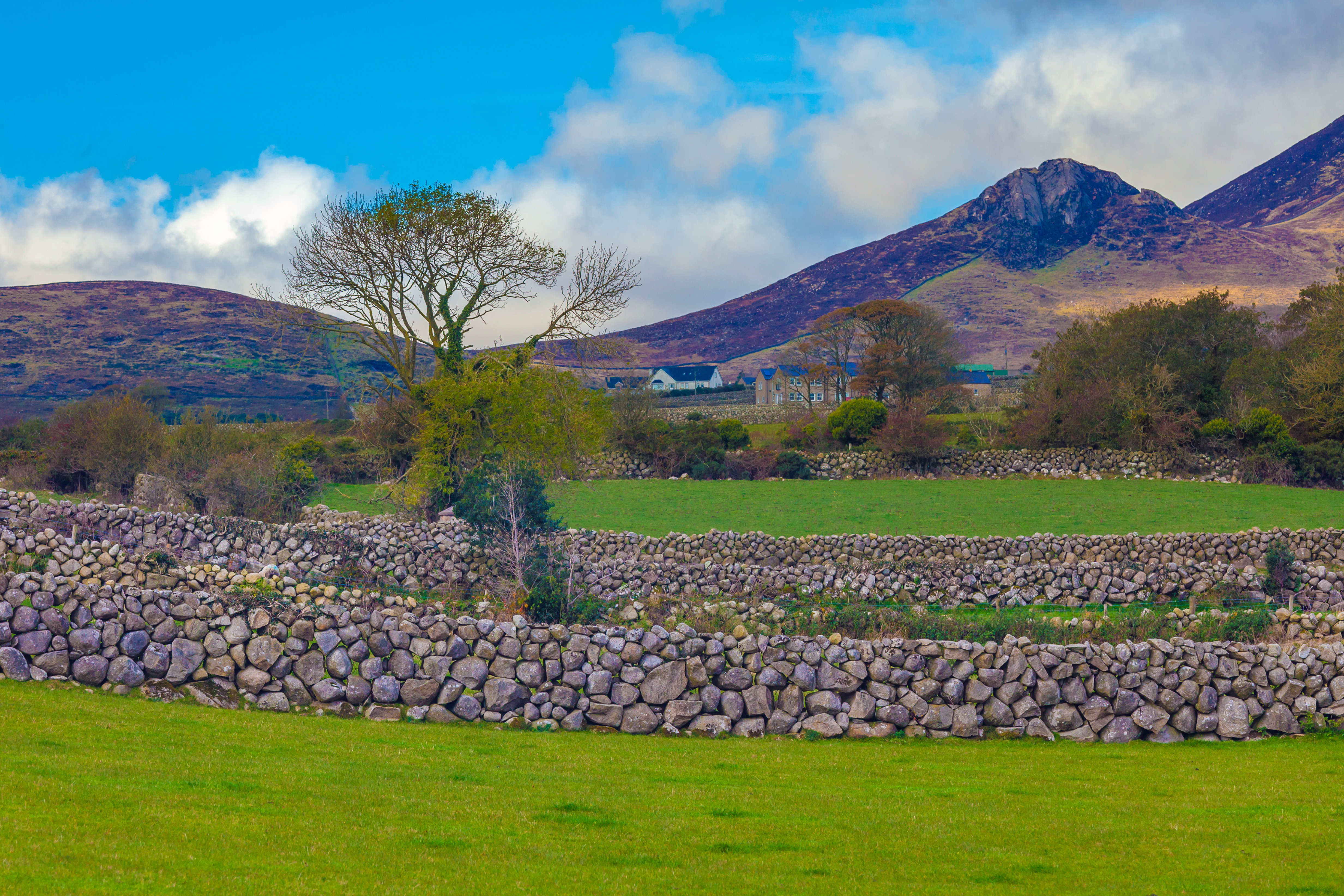 Stone walls and pastures in Ireland Stone walls and pastures in Ireland