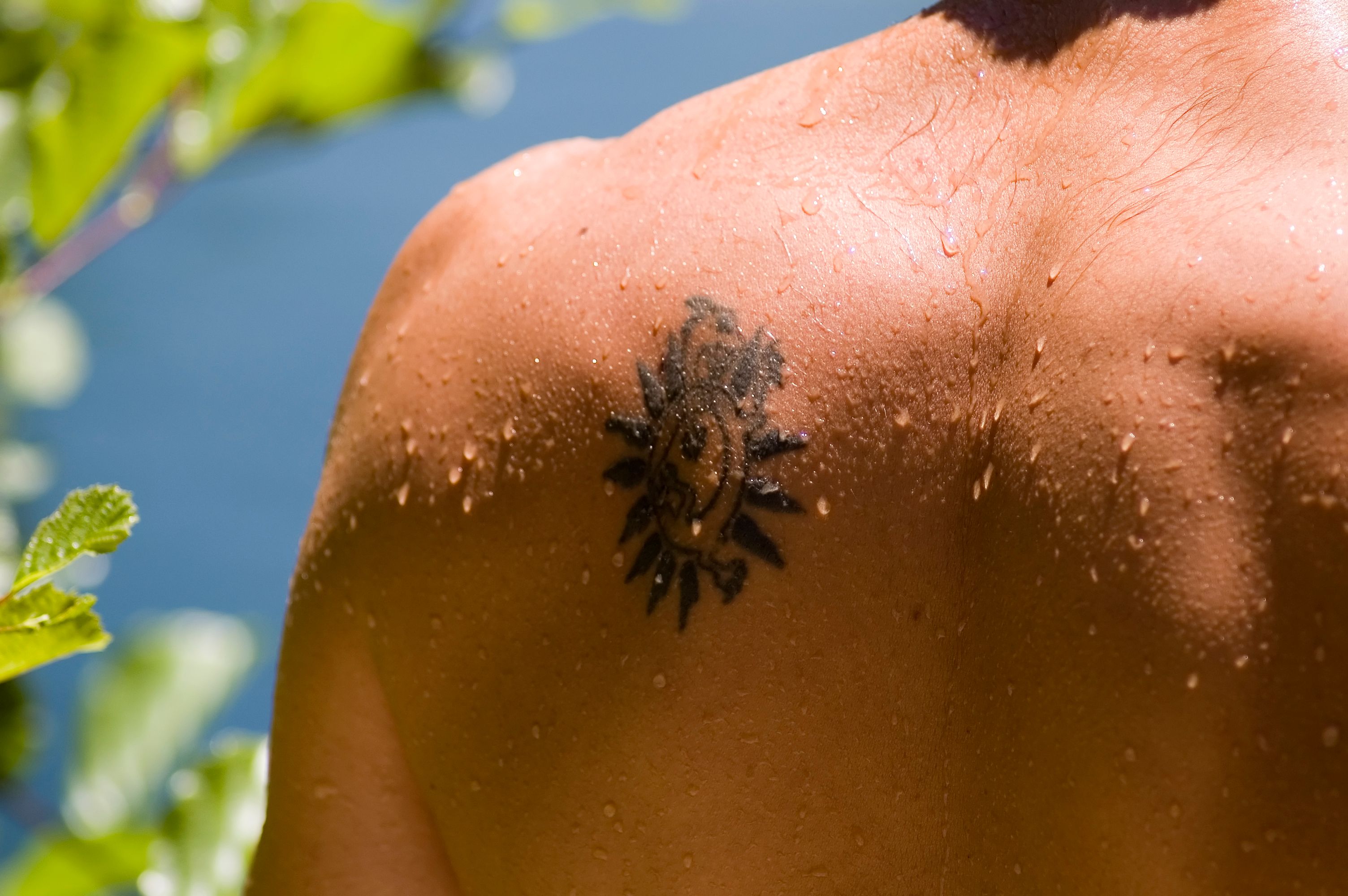 protector solar tatuaje minimalist tattoo custom tattoo tatuaje estrellas mejor estudio tatuajes sevilla numero uno best tattoo shop sevilla fineline dotwork traditional linea fina realismo tradicional  urbe tattoo minitatu