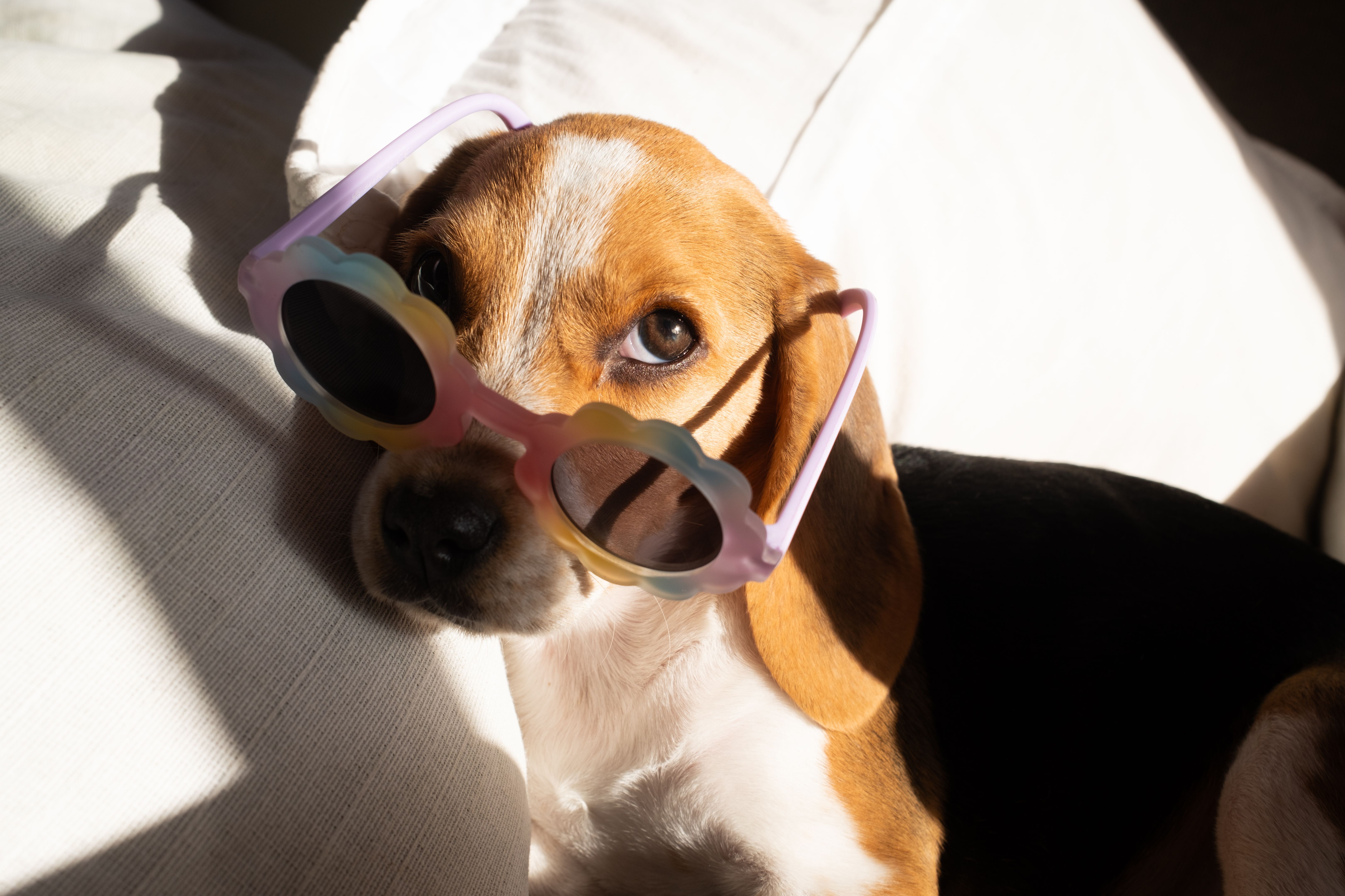 user-generated content