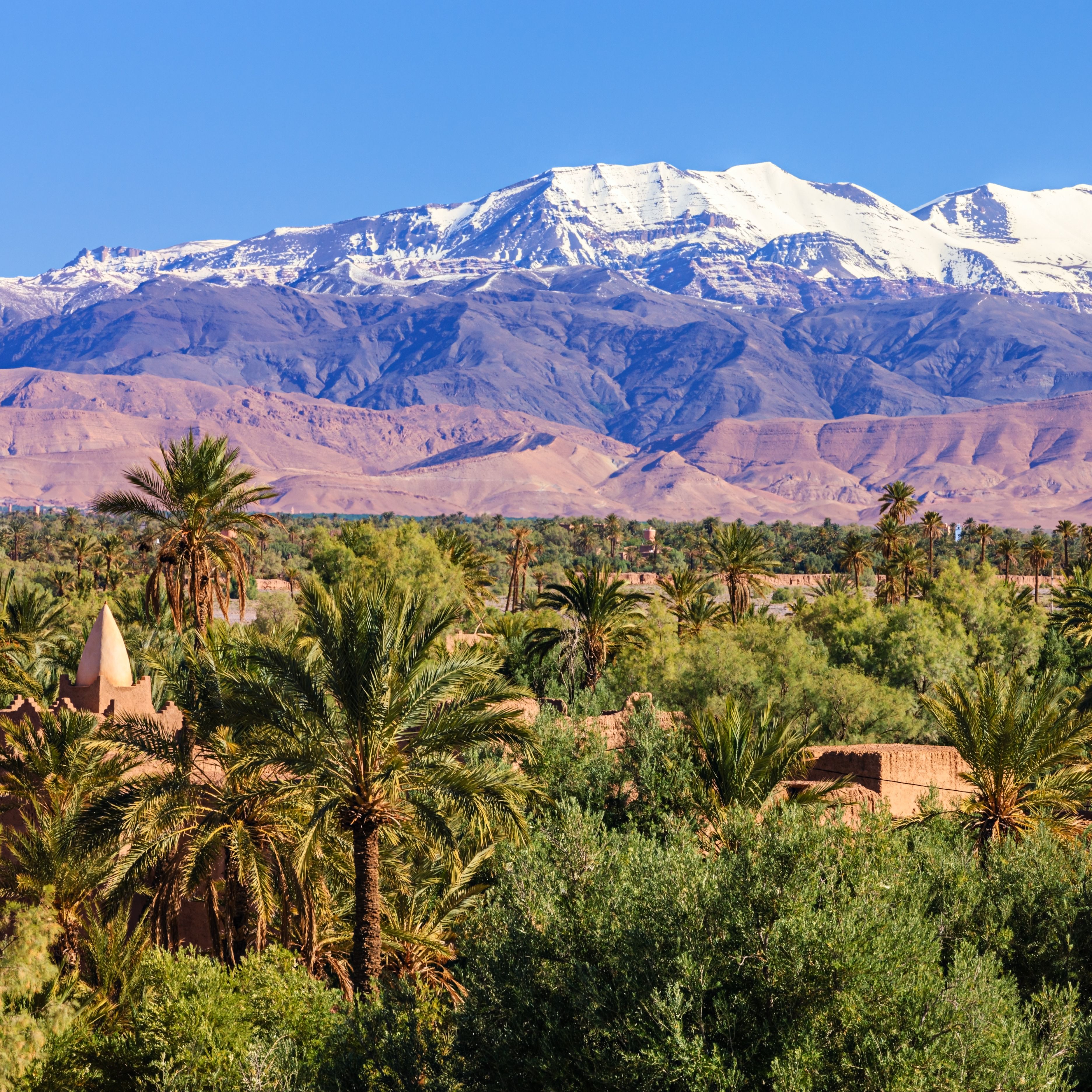 Moroccan oasis and High Atlas mouintain range