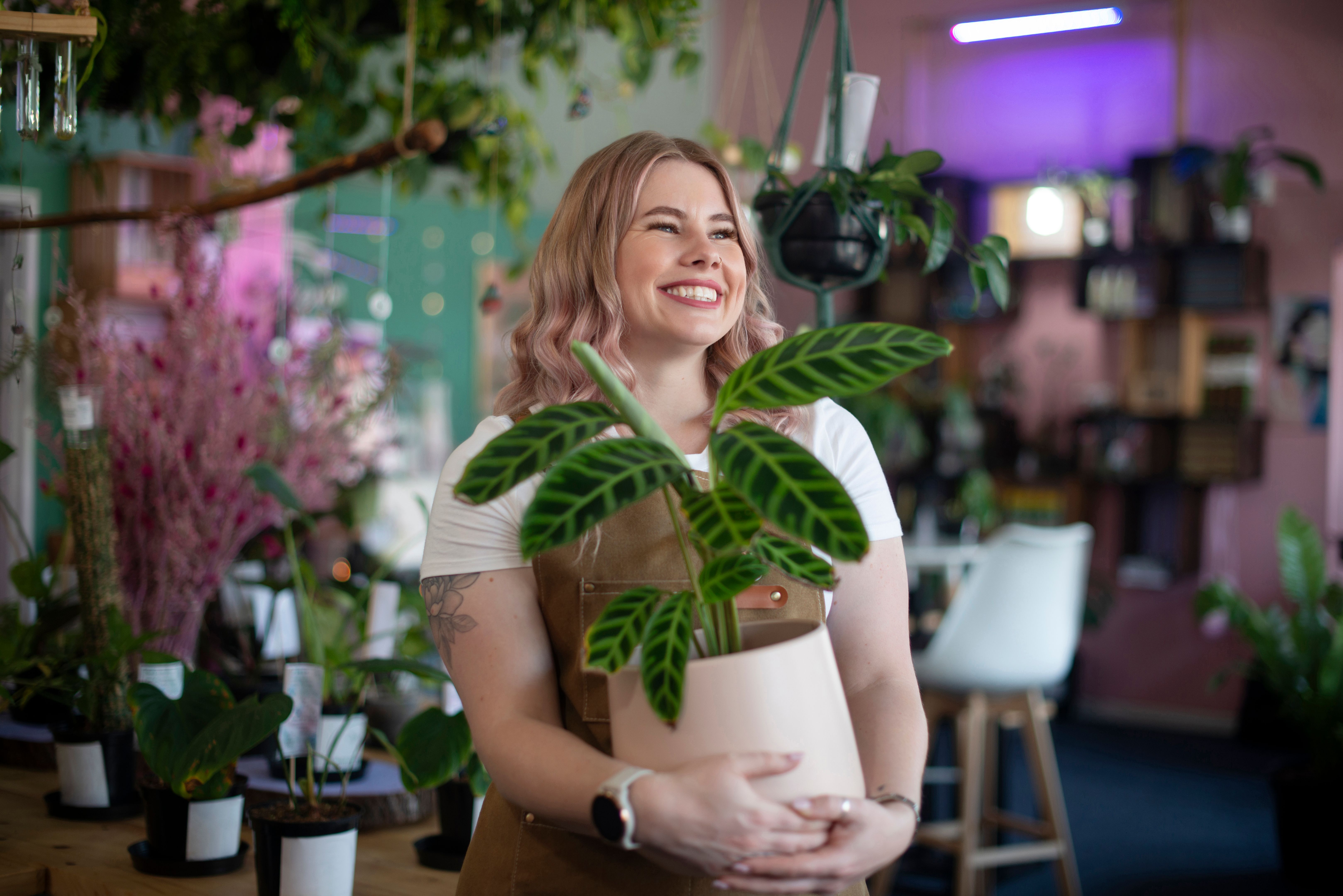 small business growth