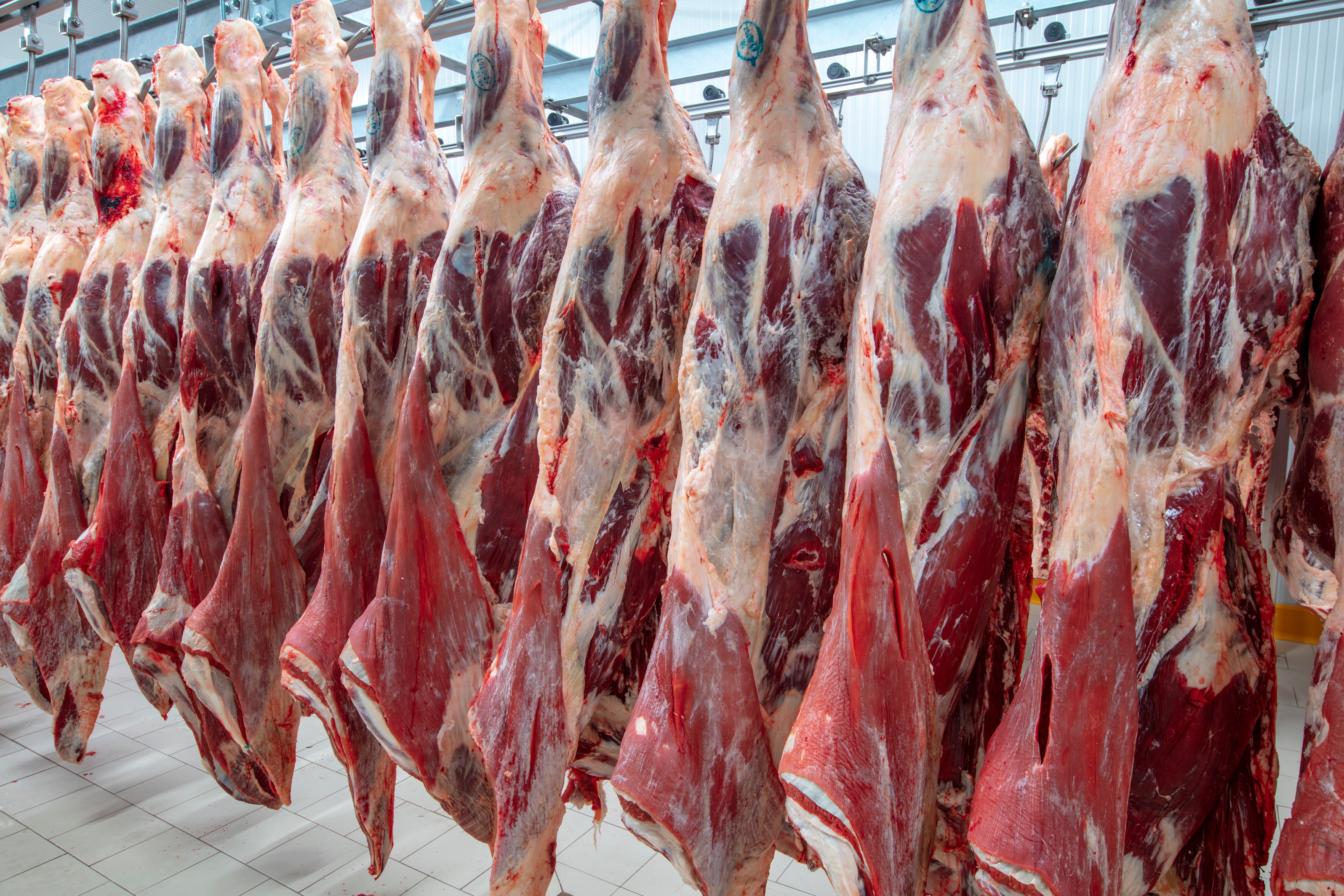 meat cold storage
