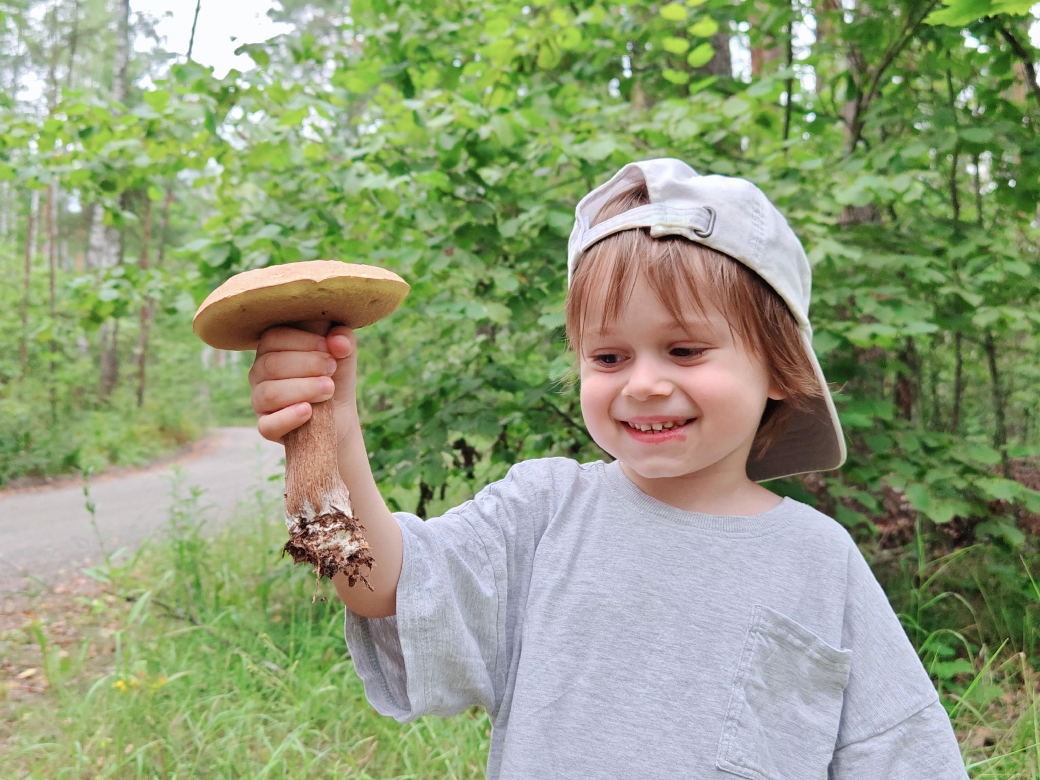 mushroom foraging