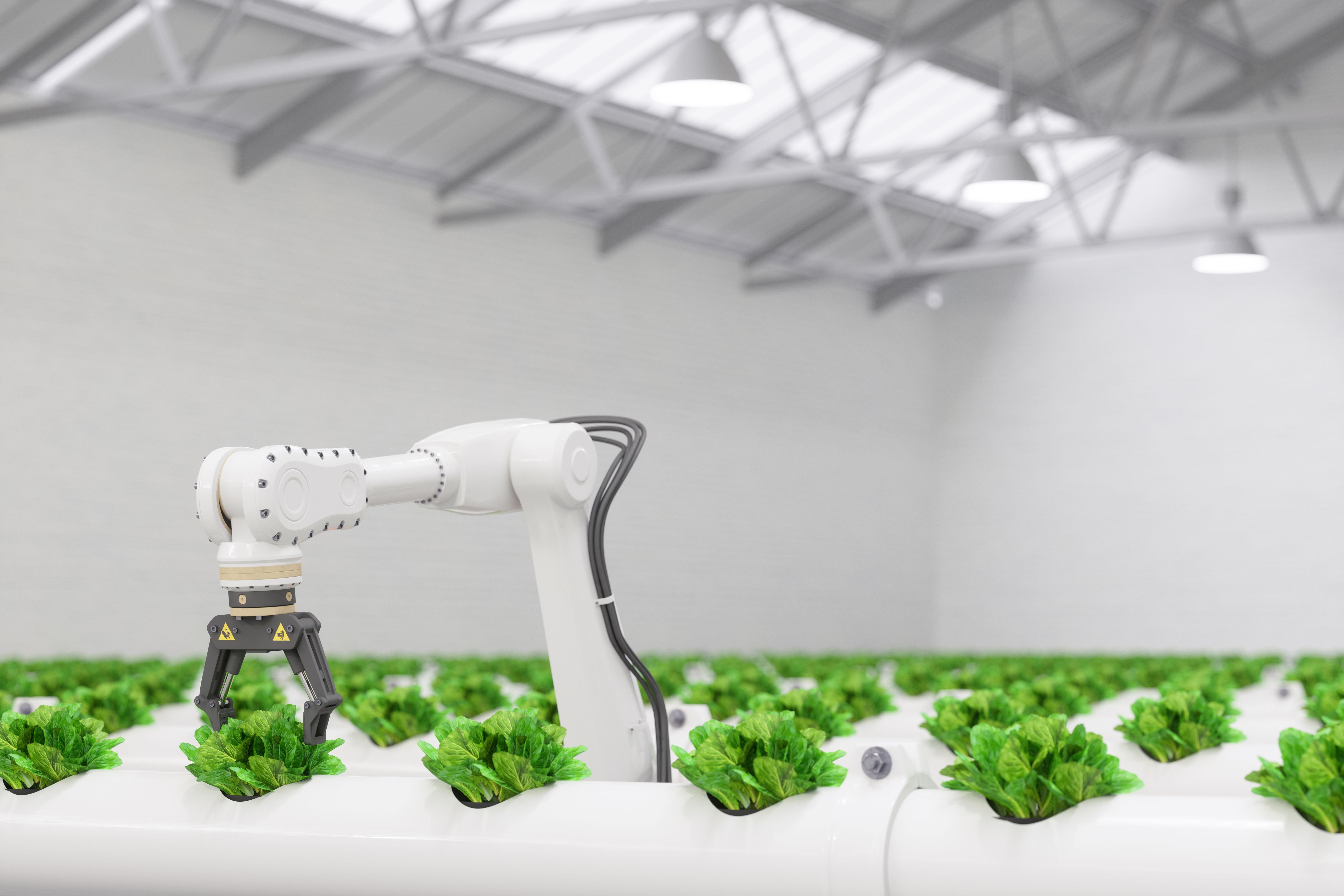 robotic farming