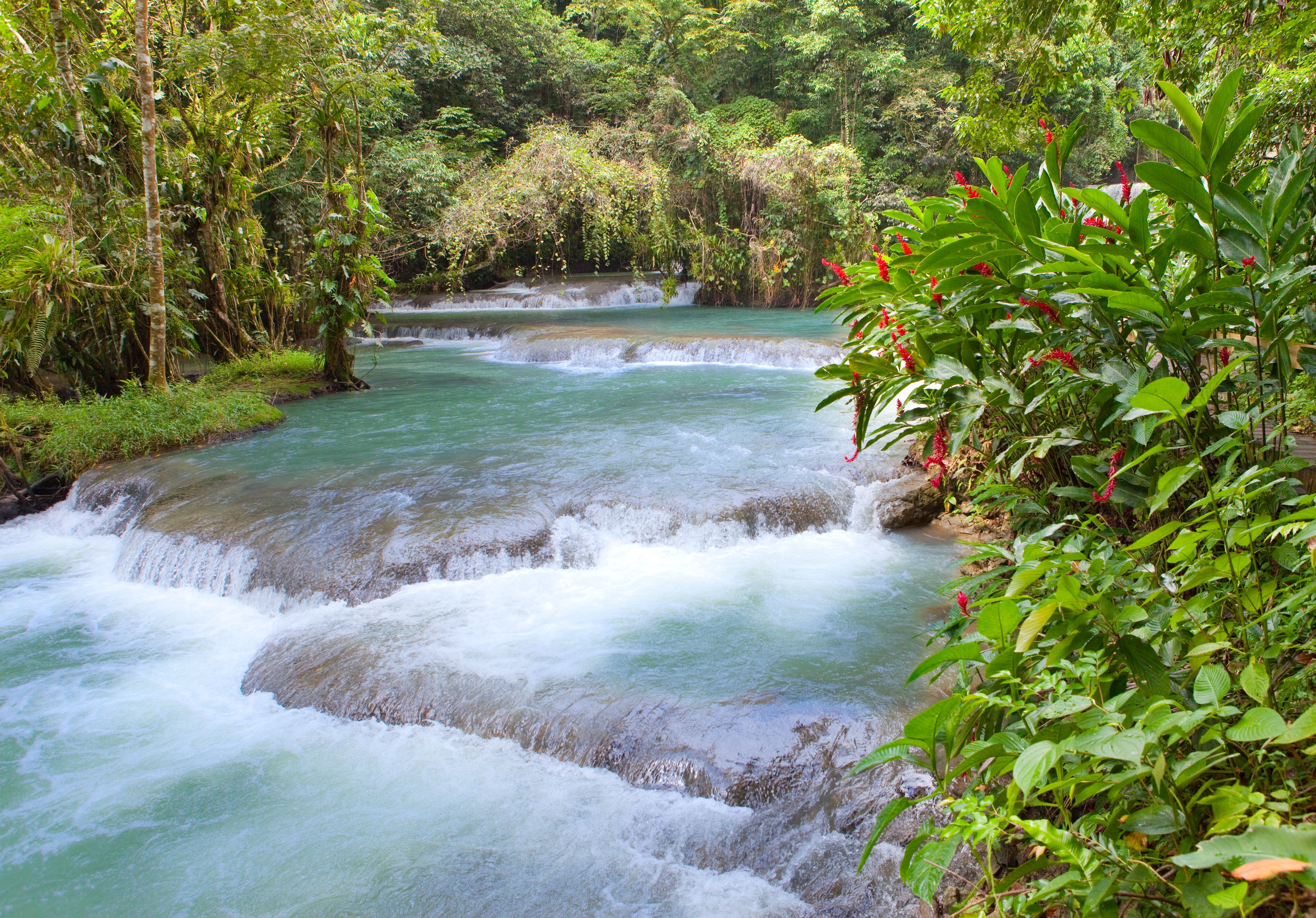 dunn's river falls