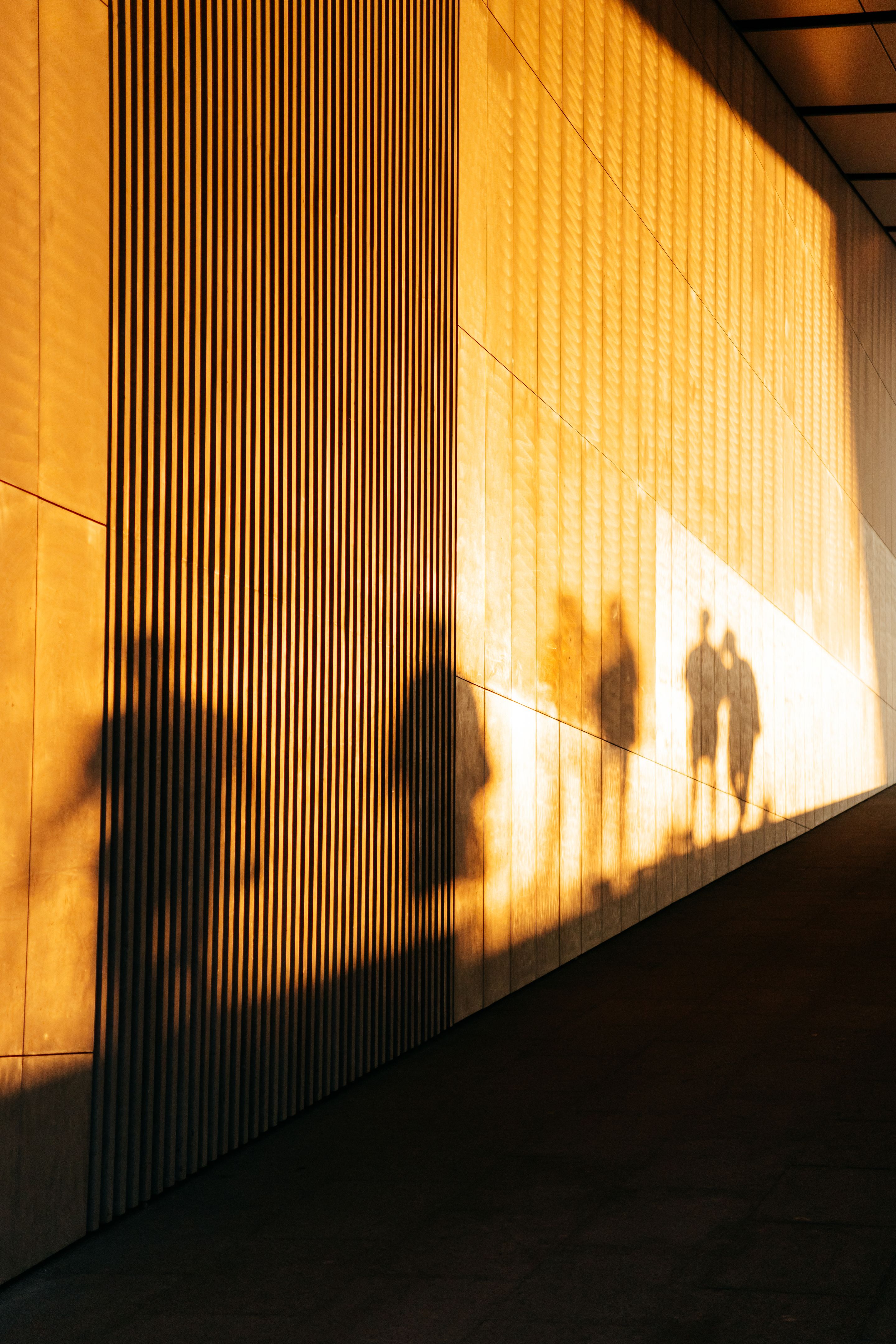 shadow play photography