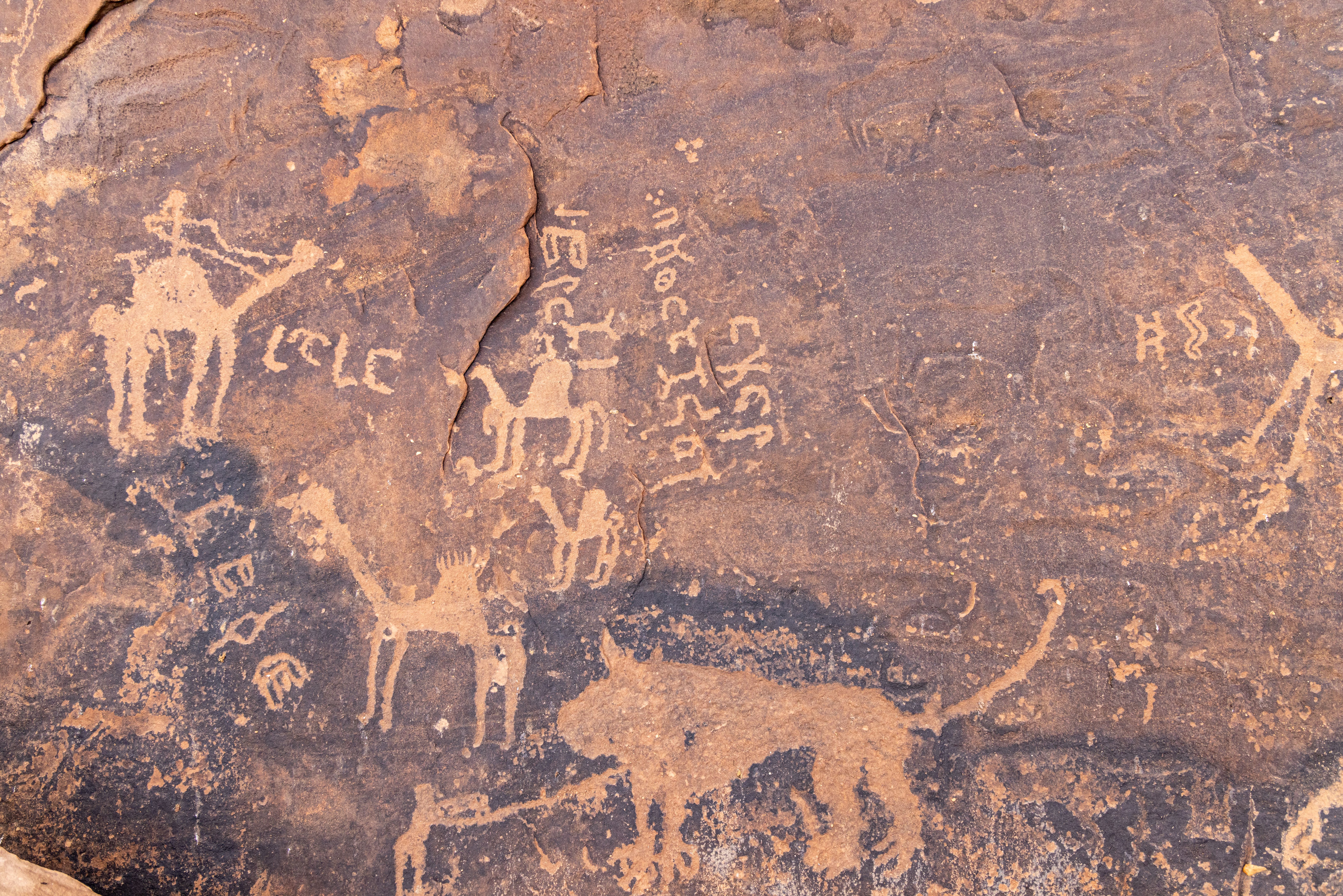 rock art saudi arabia