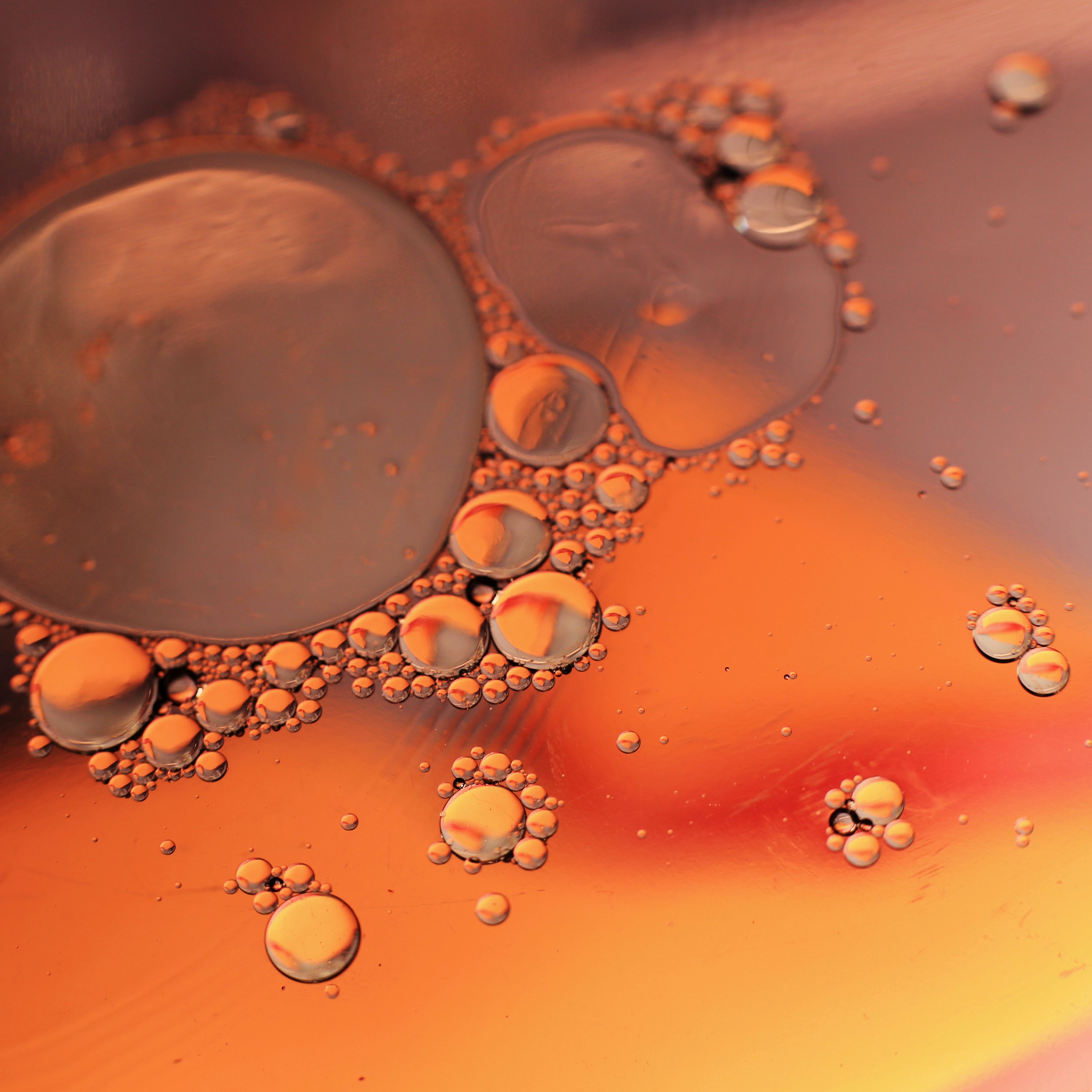 essential oil comparison