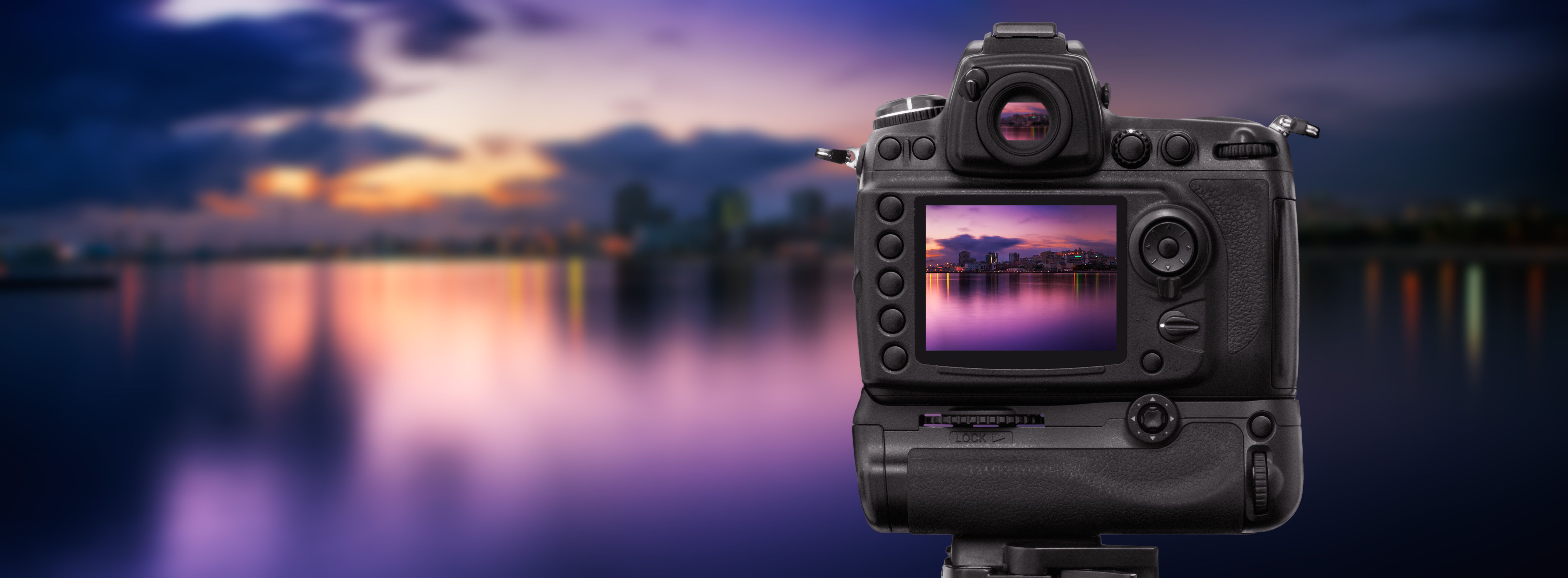 orlando photographer