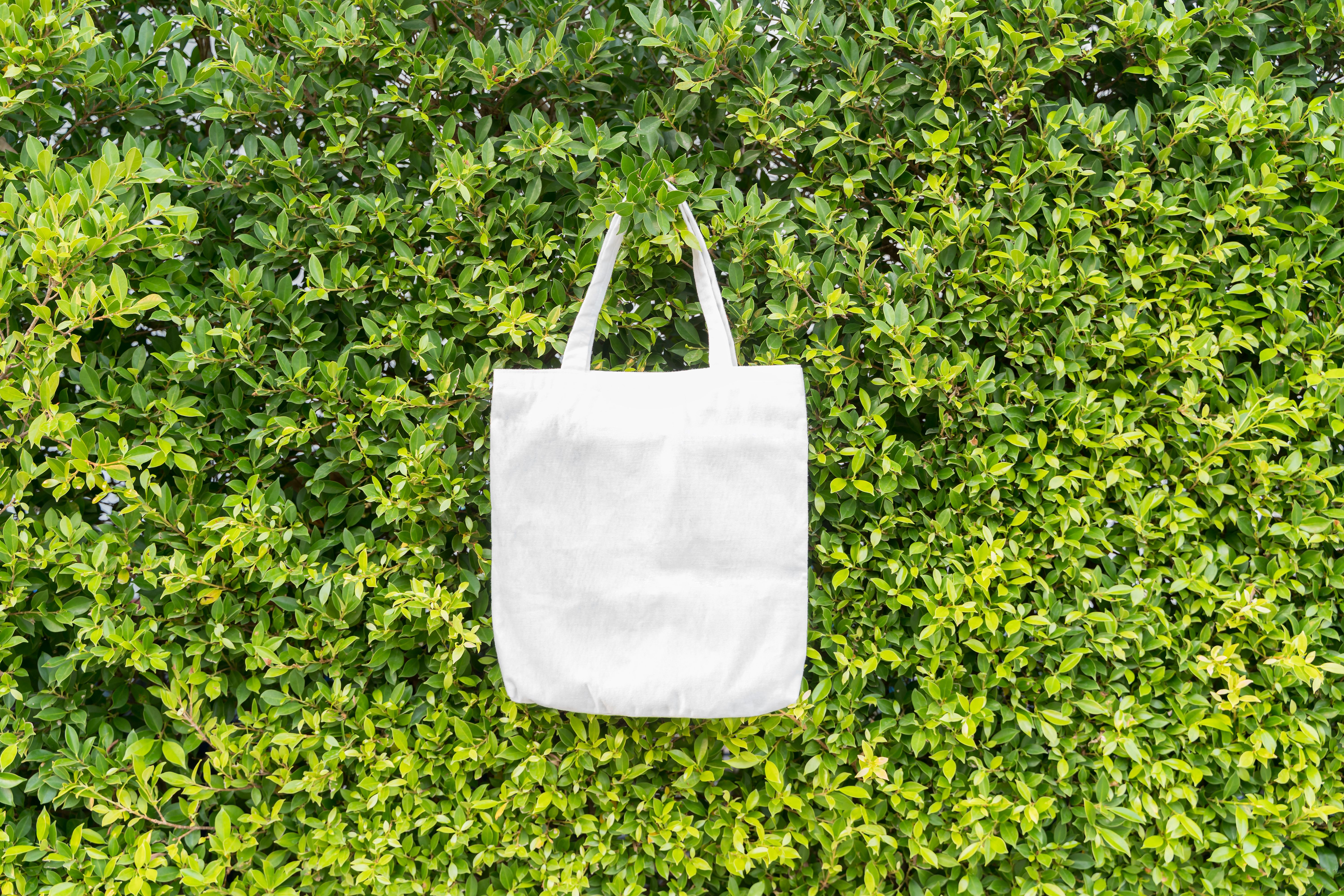 sustainable marketing