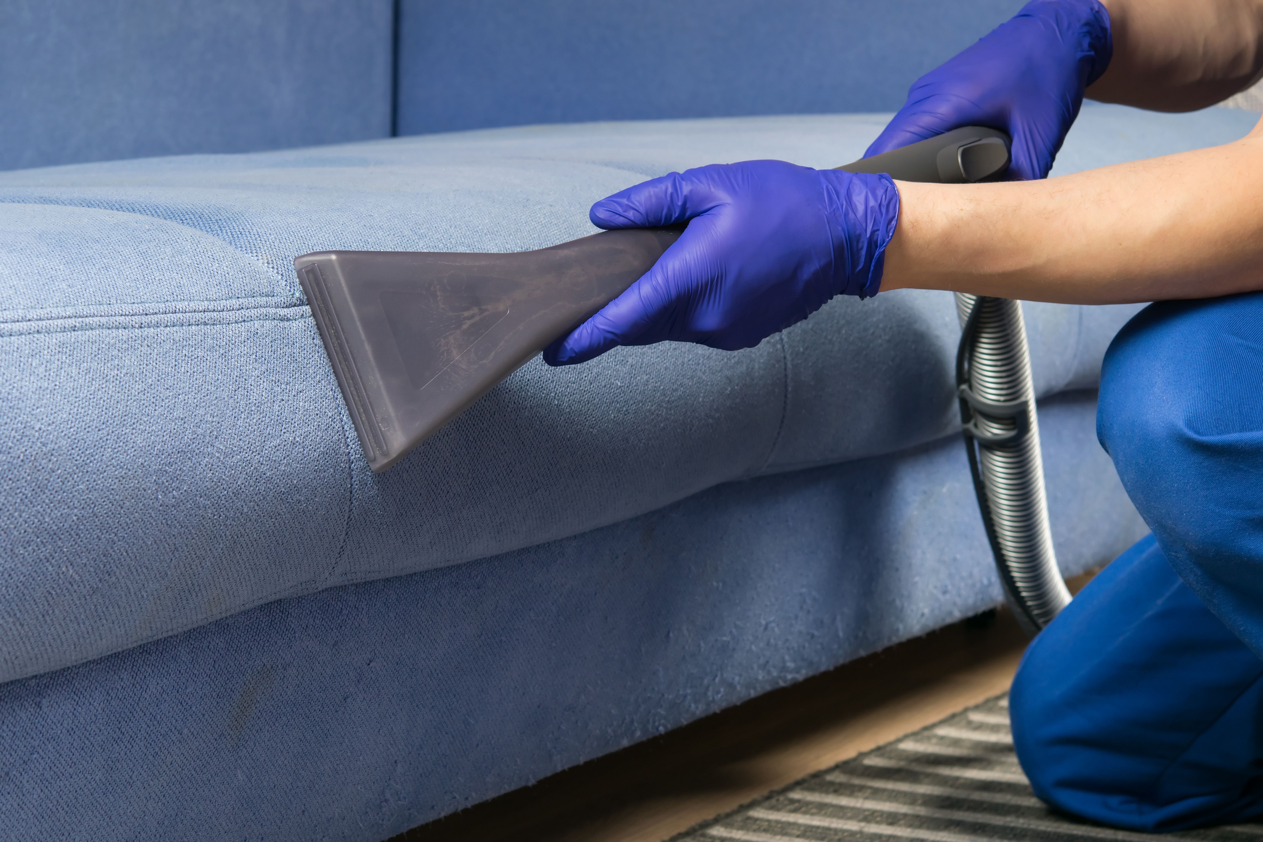 sofa cleaning
