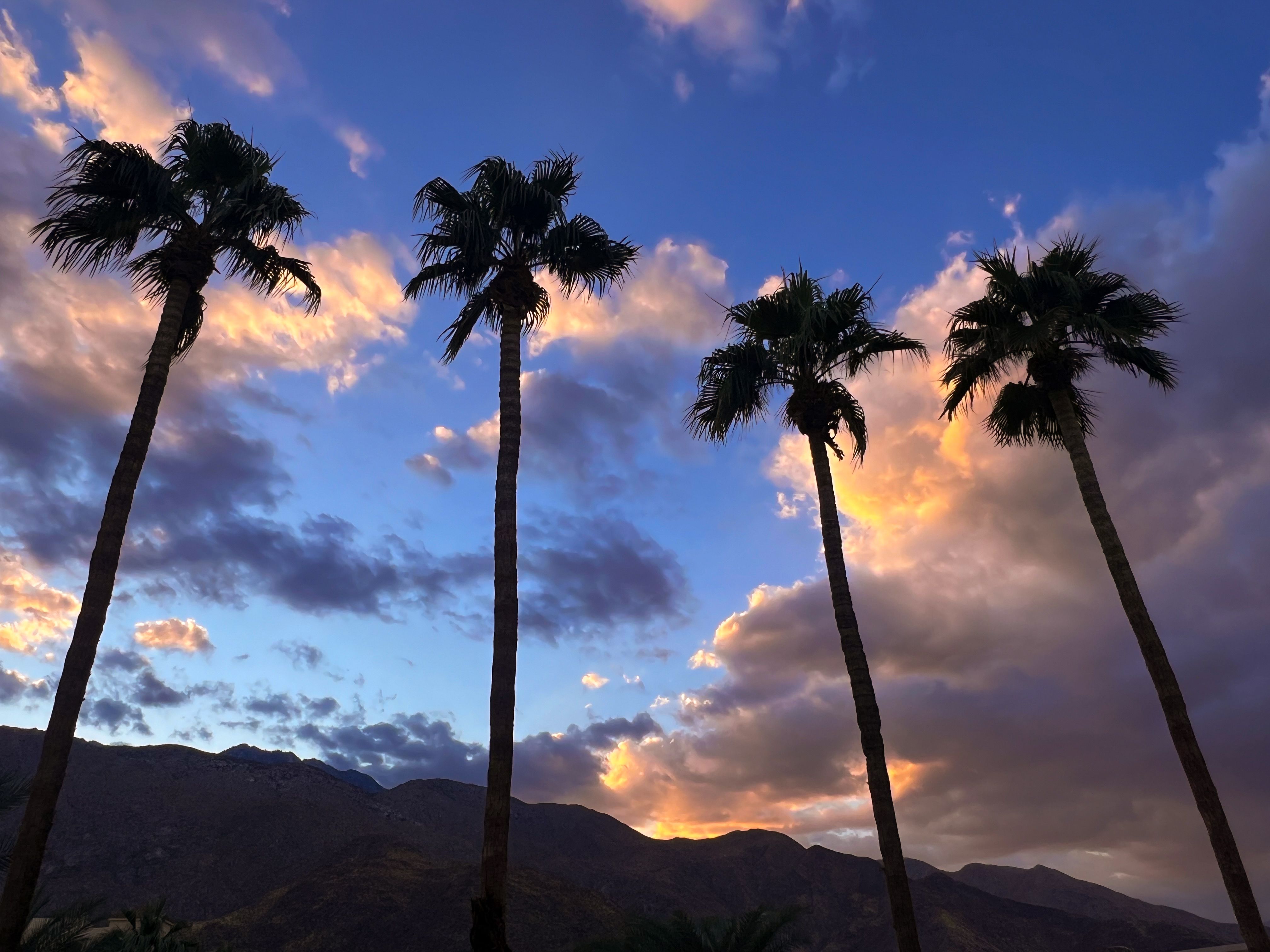 palm springs weather