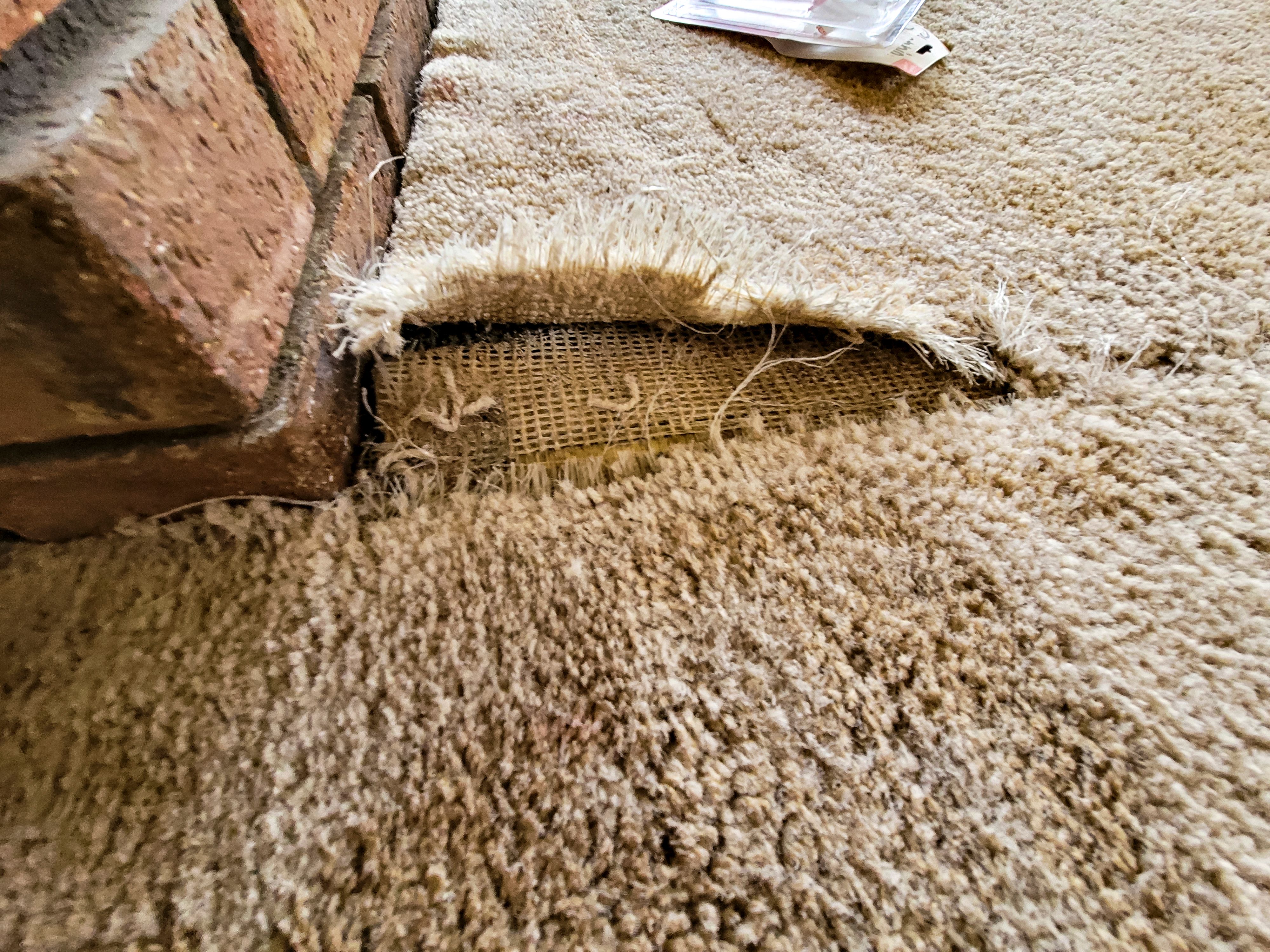 carpet repair consultation