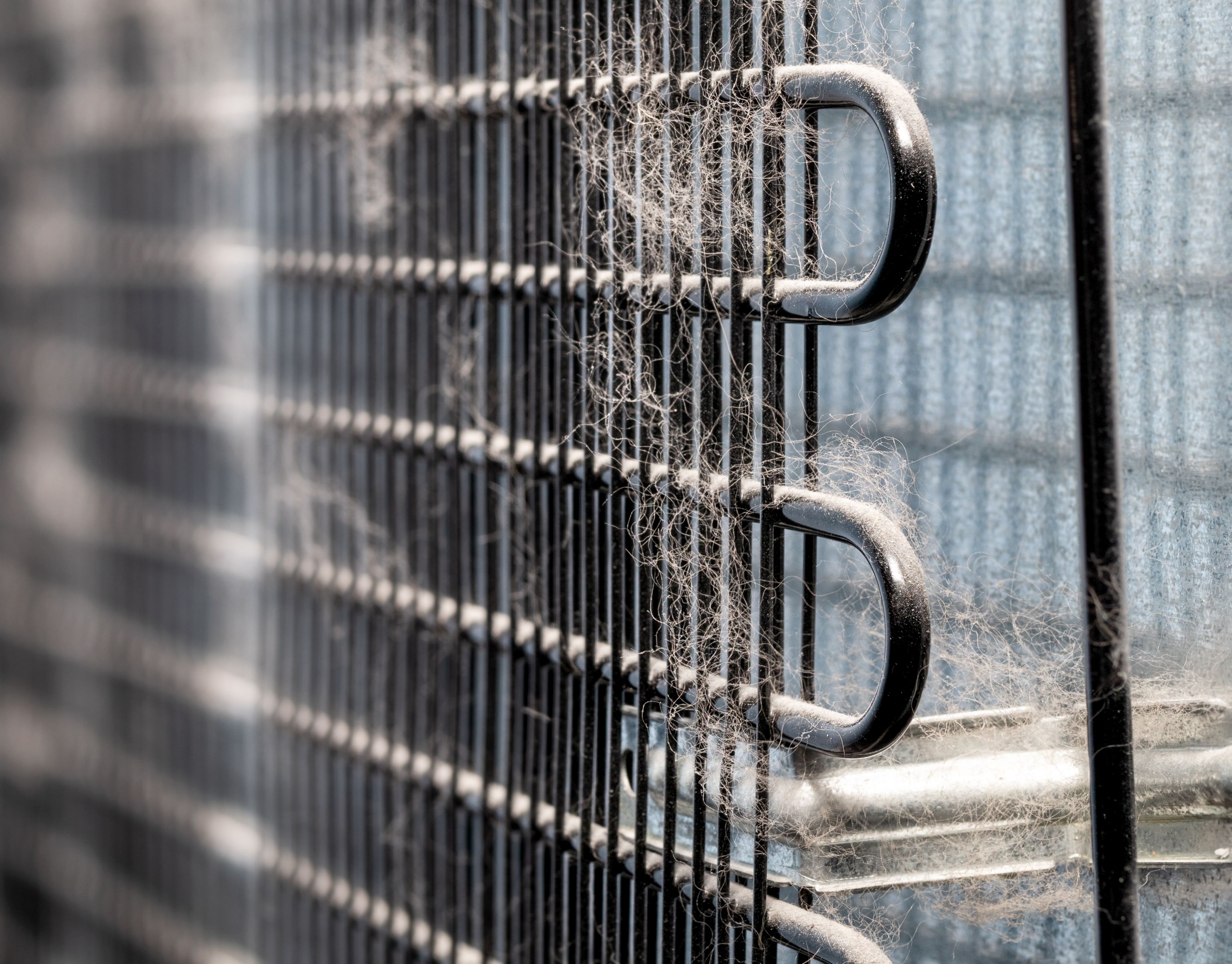freezer maintenance