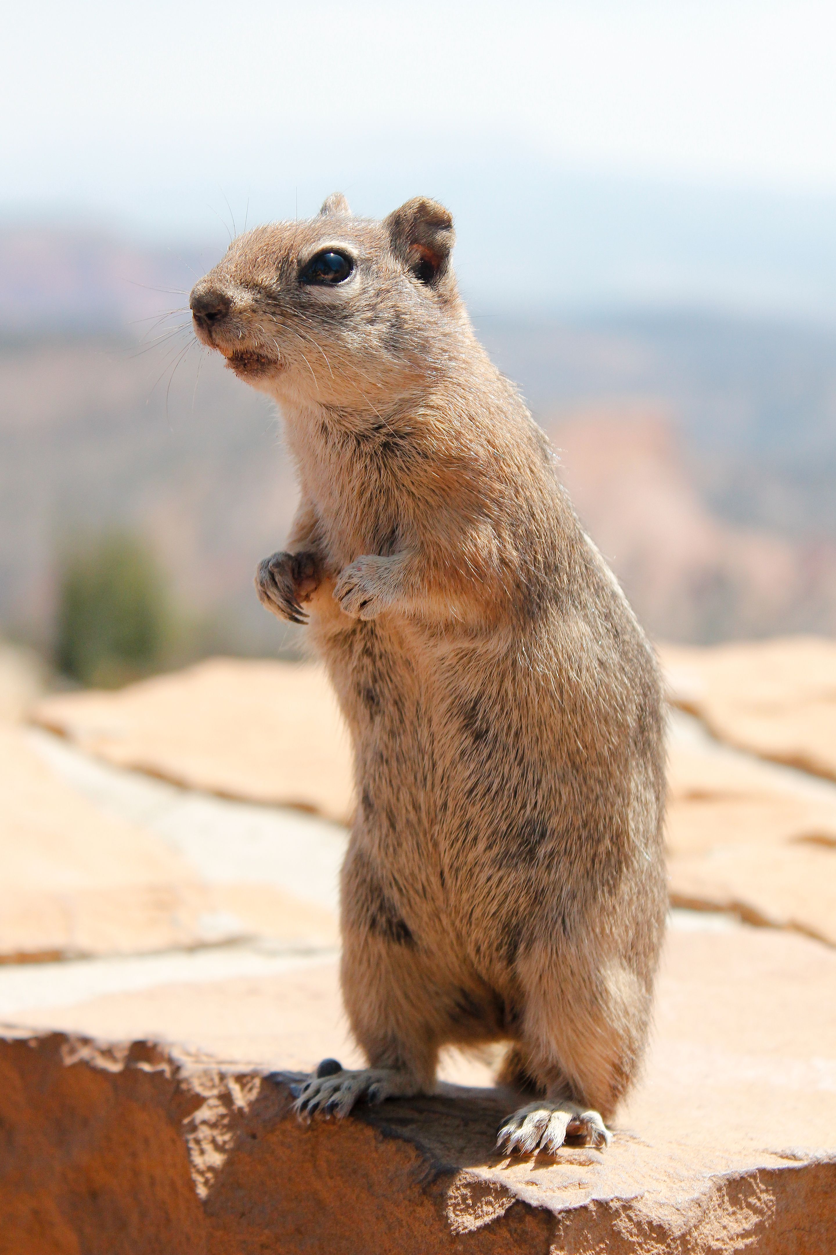 family activities grand prairie